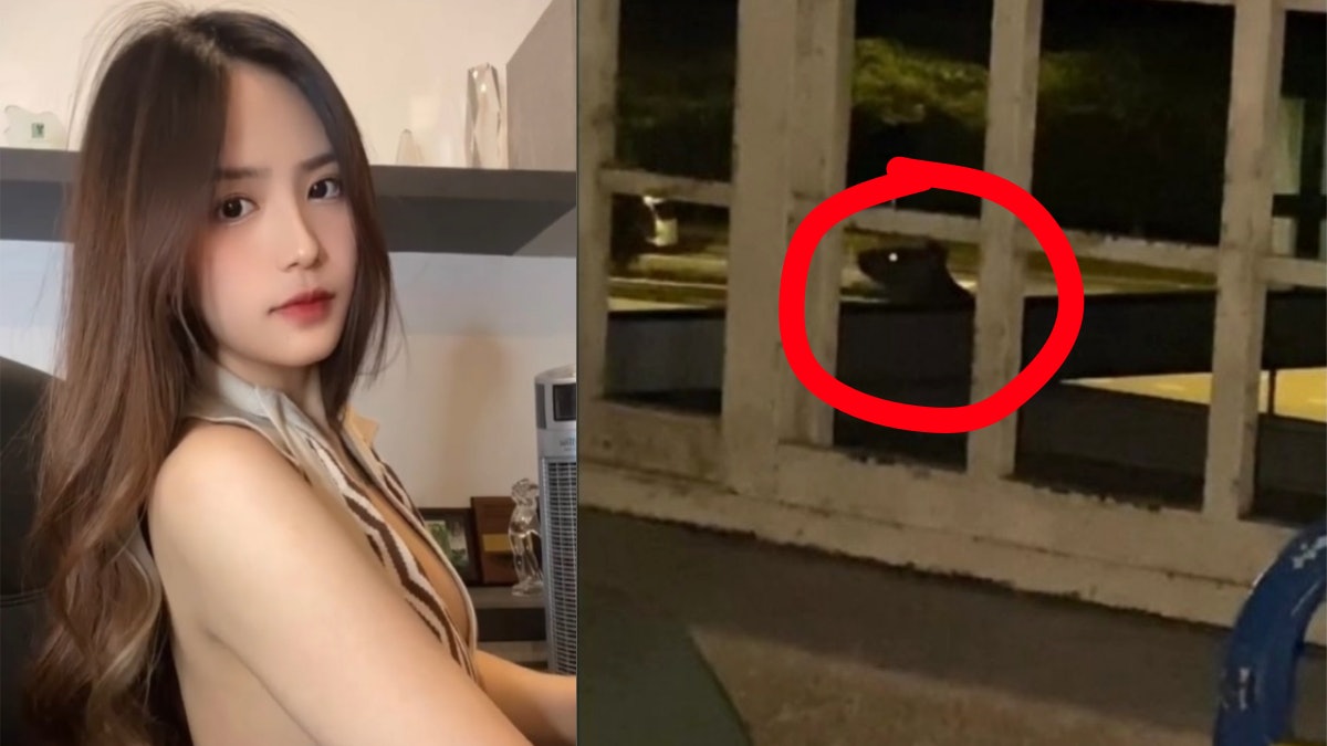 大馬懷孕美少女網紅確診入院 半夜睜眼驚見「黑色一團」秒崩潰 大馬懷孕美少女網紅確診入院 半夜睜眼驚見「黑色一團」秒崩潰