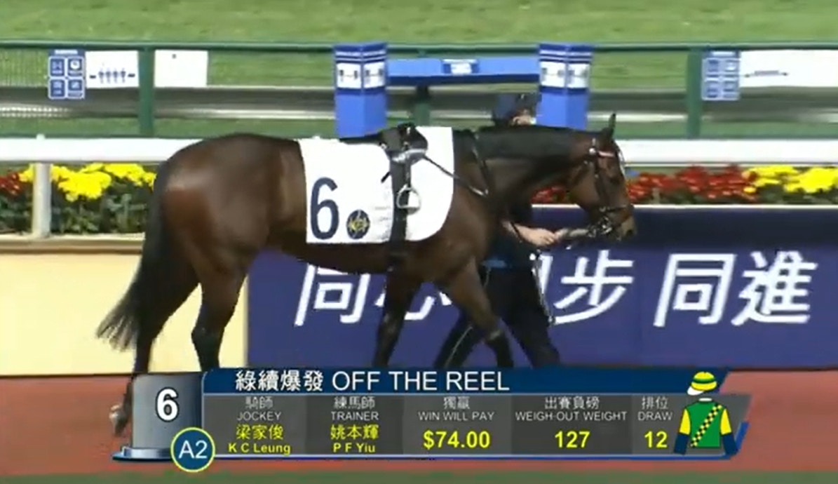 疫巿跑夜馬 綠續爆發 擊敗大熱跑出惹哄動呢幾匹馬個名仲爆