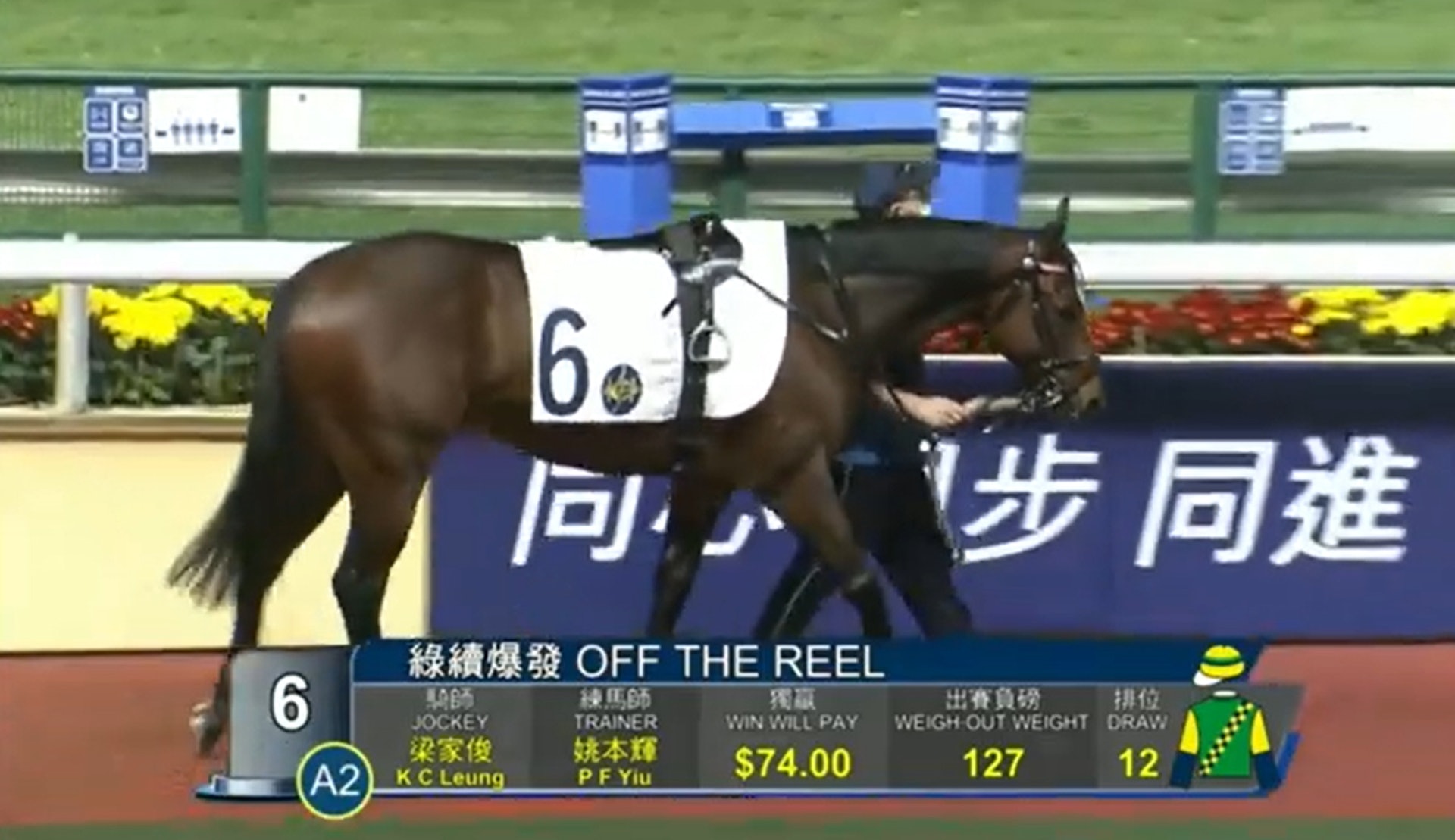 疫巿跑夜馬 綠續爆發 擊敗大熱跑出惹哄動呢幾匹馬個名仲爆 疫巿跑夜馬 綠續爆發 擊敗大熱跑出惹哄動呢幾匹馬個名仲爆