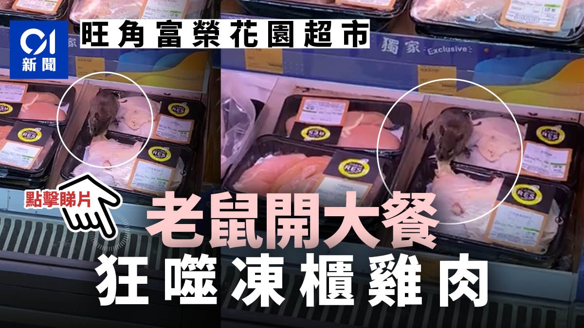 Mong Kok Fu Wing Garden Supermarket Mice Open A Big Meal Frozen Meat Neighbors Worry About Poisoning So Scary The Limited Times