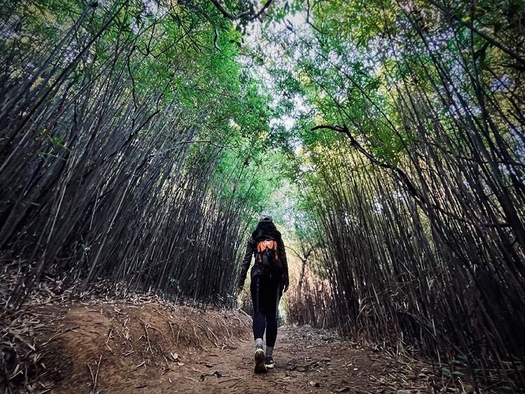 女生行山路線2022｜河背水塘位於大欖郊野公園內。（lps.leavenotrace＠IG 授權使用）