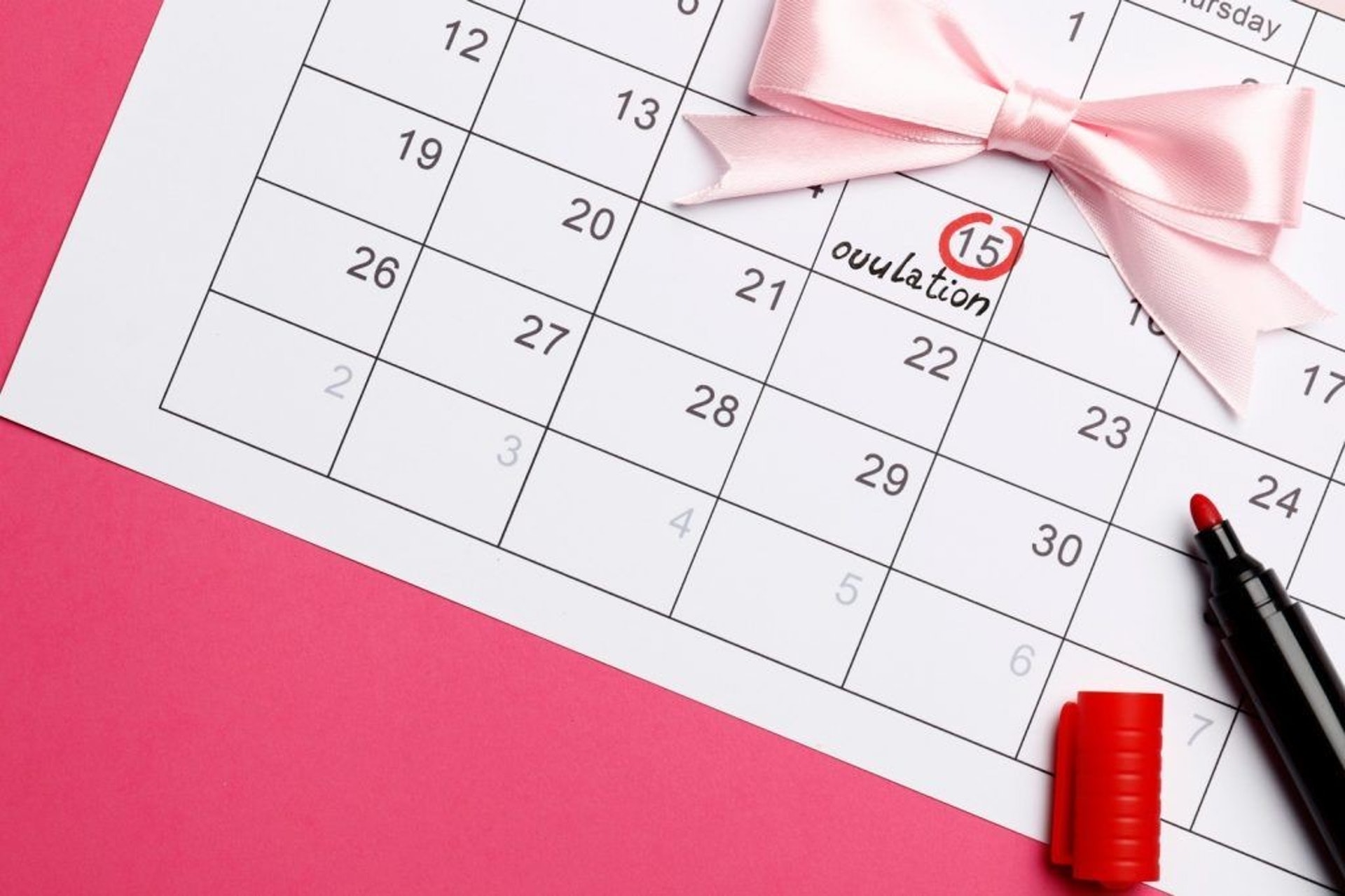 女性在排卵期的受孕機率最高,4個方法幫助計算排卵日子。(圖片:Shutterstock) 女性在排卵期的受孕機率最高,4個方法幫助計算排卵日子。(圖片:Shutterstock)