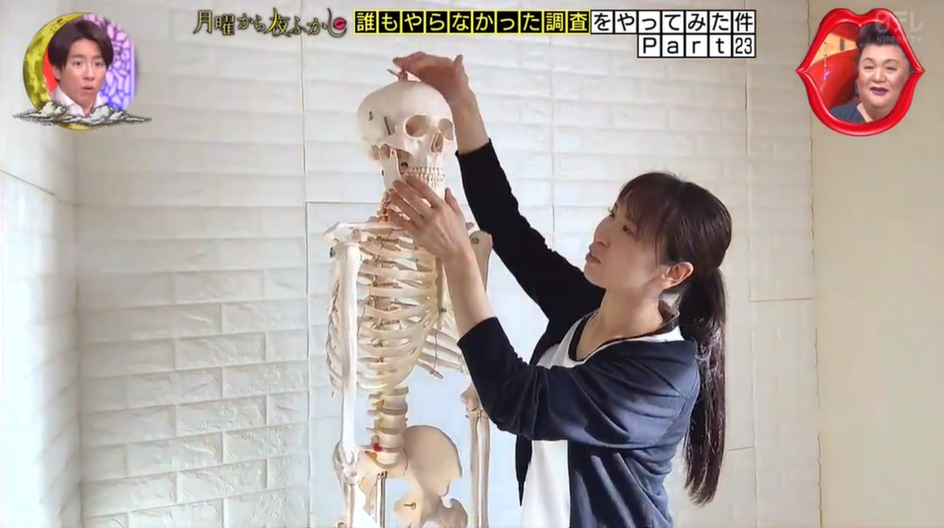 正在研究骷髏的高見老師(《月曜から夜ふかし》截圖) 正在研究骷髏的高見老師(《月曜から夜ふかし》截圖)