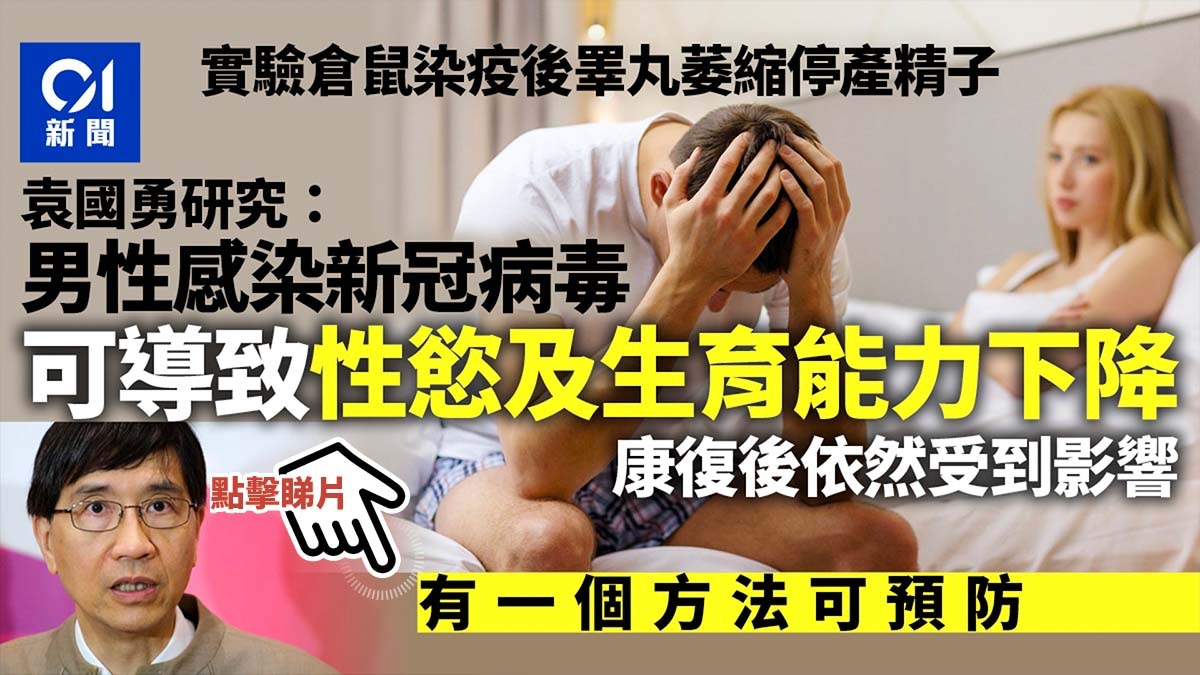 袁國勇研究：男性染疫可致性慾及生育能力下降康復後仍受影響