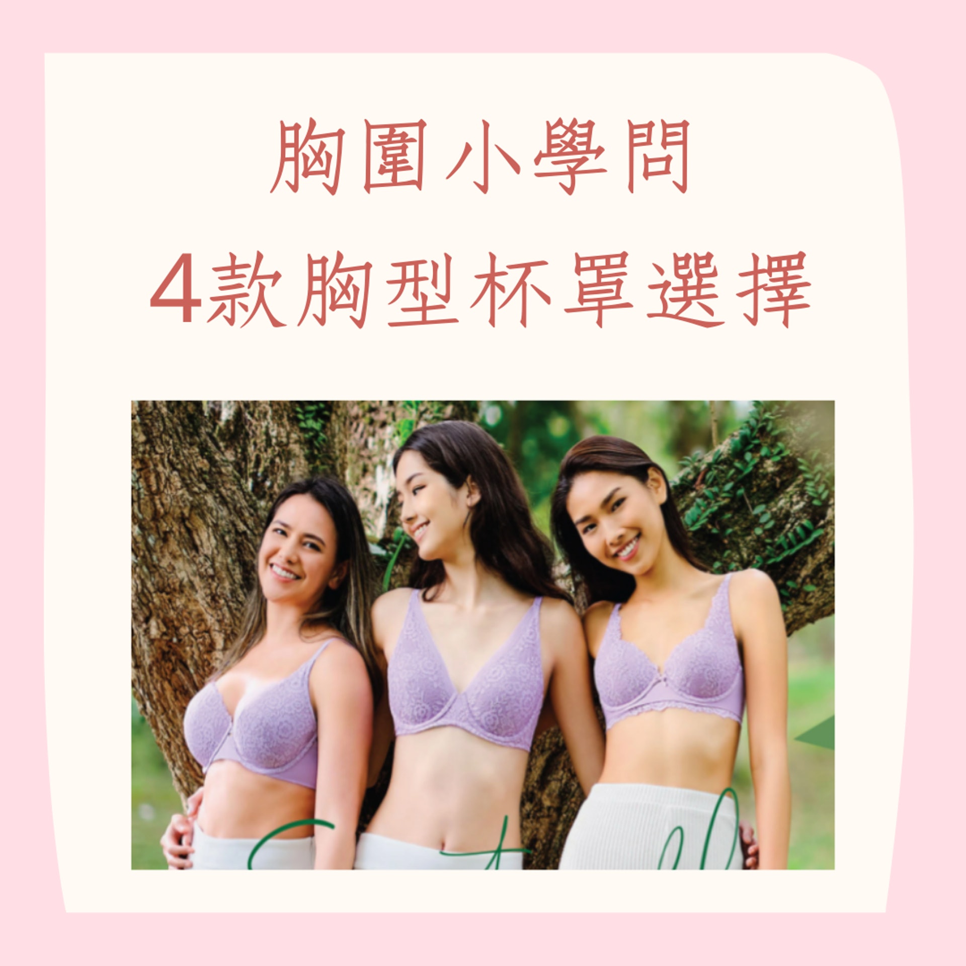 胸圍小學問4款胸型杯罩選擇(herownwords官網;01製圖) 胸圍小學問4款胸型杯罩選擇(herownwords官網;01製圖)