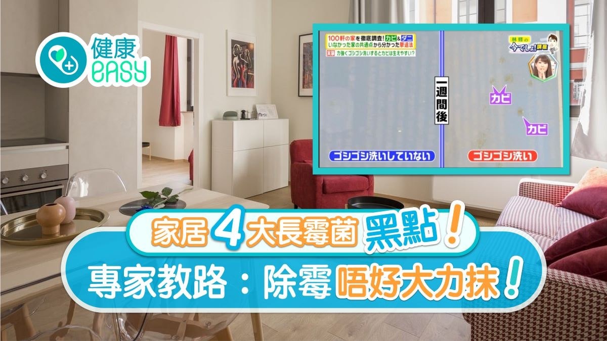 霉菌|4黑點洗衣機排第1門蓋勿長關?専家教8個除霉法唔好大力抹! 霉菌|4黑點洗衣機排第1門蓋勿長關?専家教8個除霉法唔好大力抹!