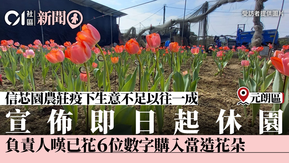 疫情 信芯園農莊宣佈休園負責人 待市民健康歸來再欣賞花田 疫情 信芯園農莊宣佈休園負責人 待市民健康歸來再欣賞花田