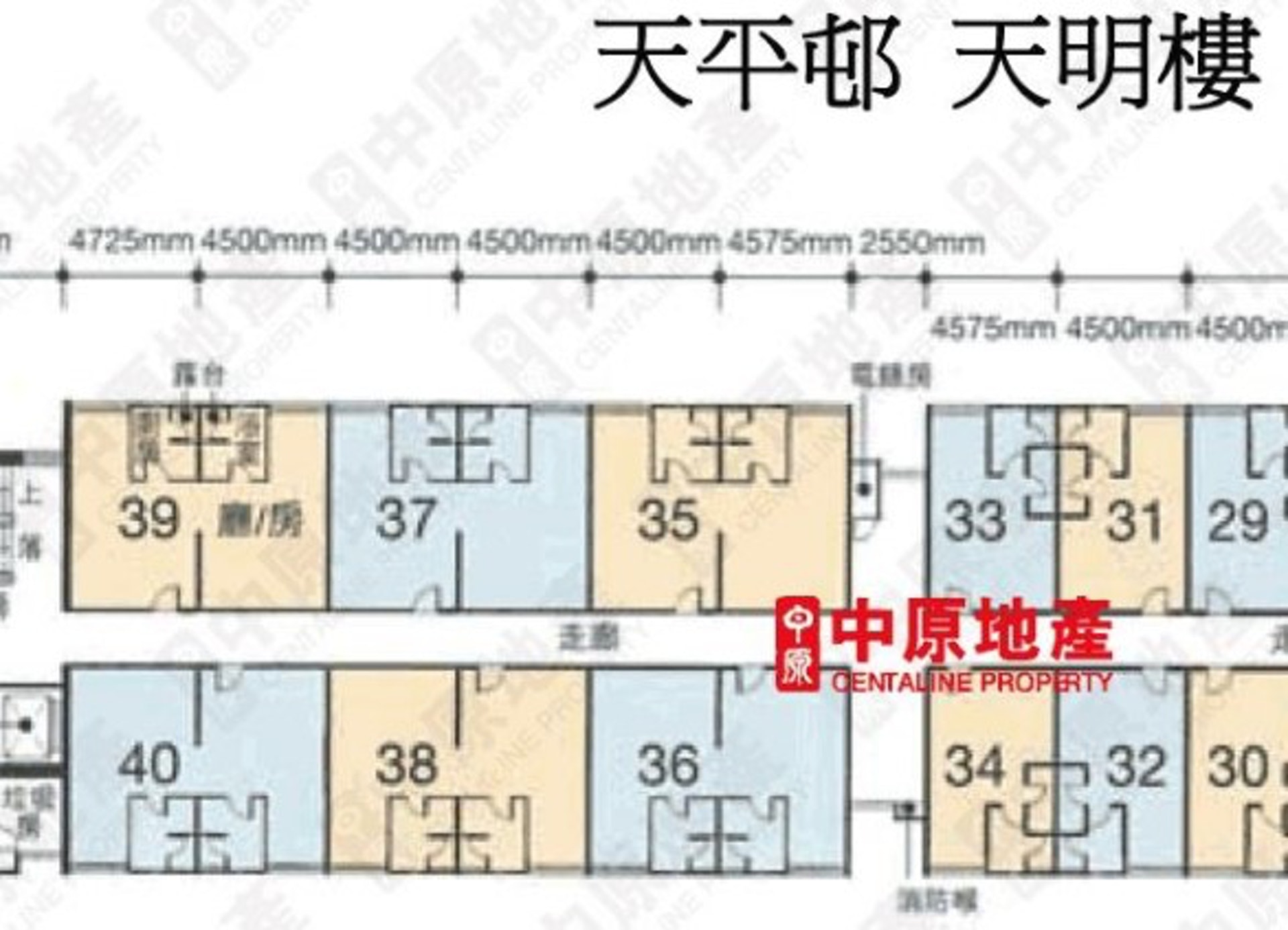天平邨天明樓圖則,部分單位由兩個細單位合併,實用面積逾700平方呎。(代理相片) 天平邨天明樓圖則,部分單位由兩個細單位合併,實用面積逾700平方呎。(代理相片)