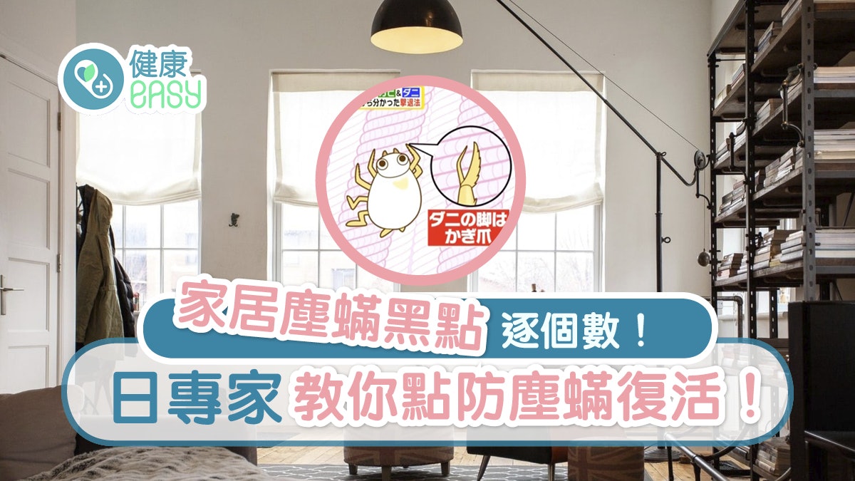 塵蟎黑點|最多塵蟎黑點是棉被255倍!防哮喘氣管炎1招阻塵蟎復活 塵蟎黑點|最多塵蟎黑點是棉被255倍!防哮喘氣管炎1招阻塵蟎復活