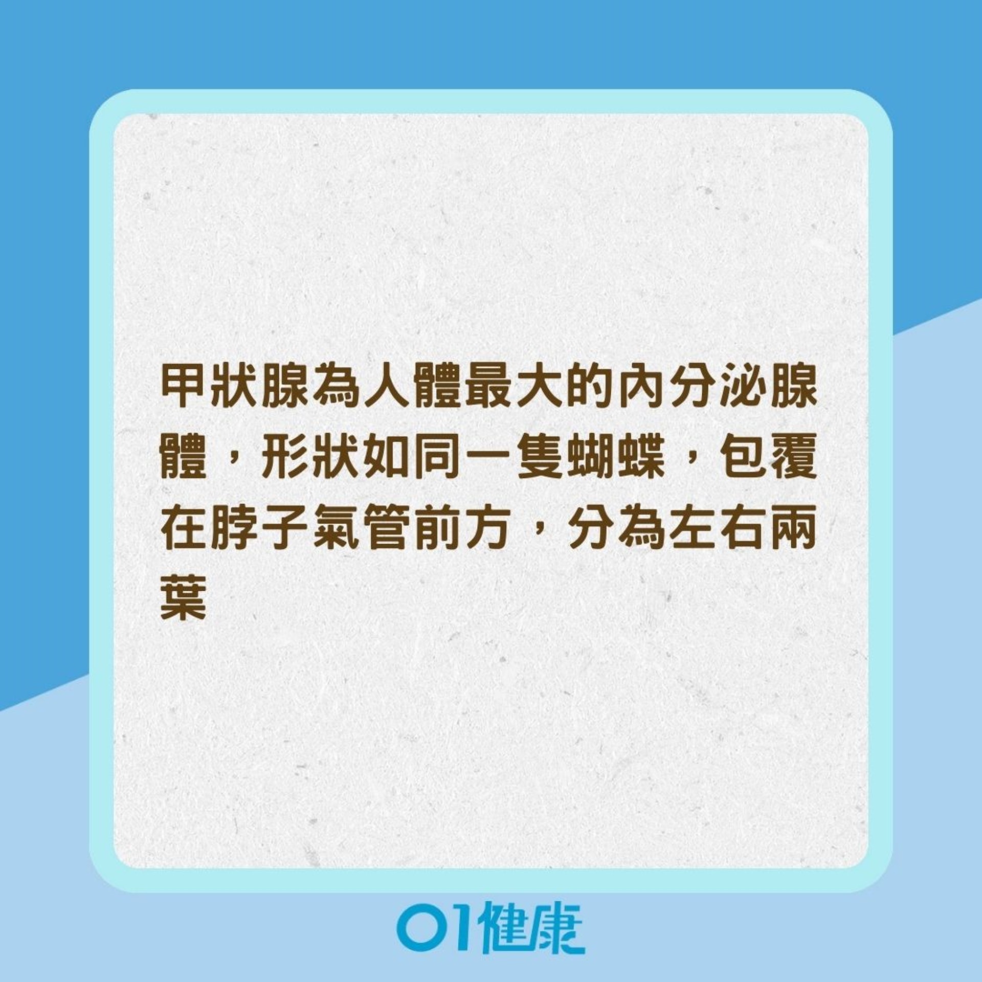 什麼是甲狀腺癌?(01製圖) 什麼是甲狀腺癌?(01製圖)