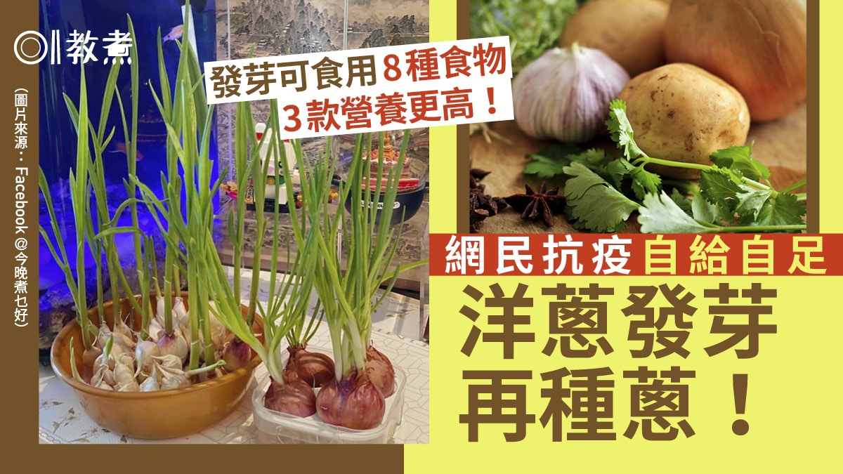 飲食熱話｜網民洋蔥發芽再種蔥自給自足發芽後營養更高3種食物