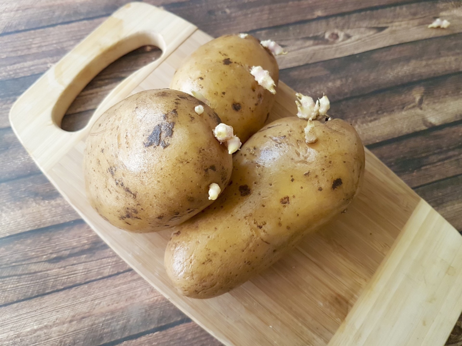 薯仔發芽絕對不能食用，因內含天然毒素「茄鹼」，誤吃這些有毒物質可能有損健康。（Gettyimages）