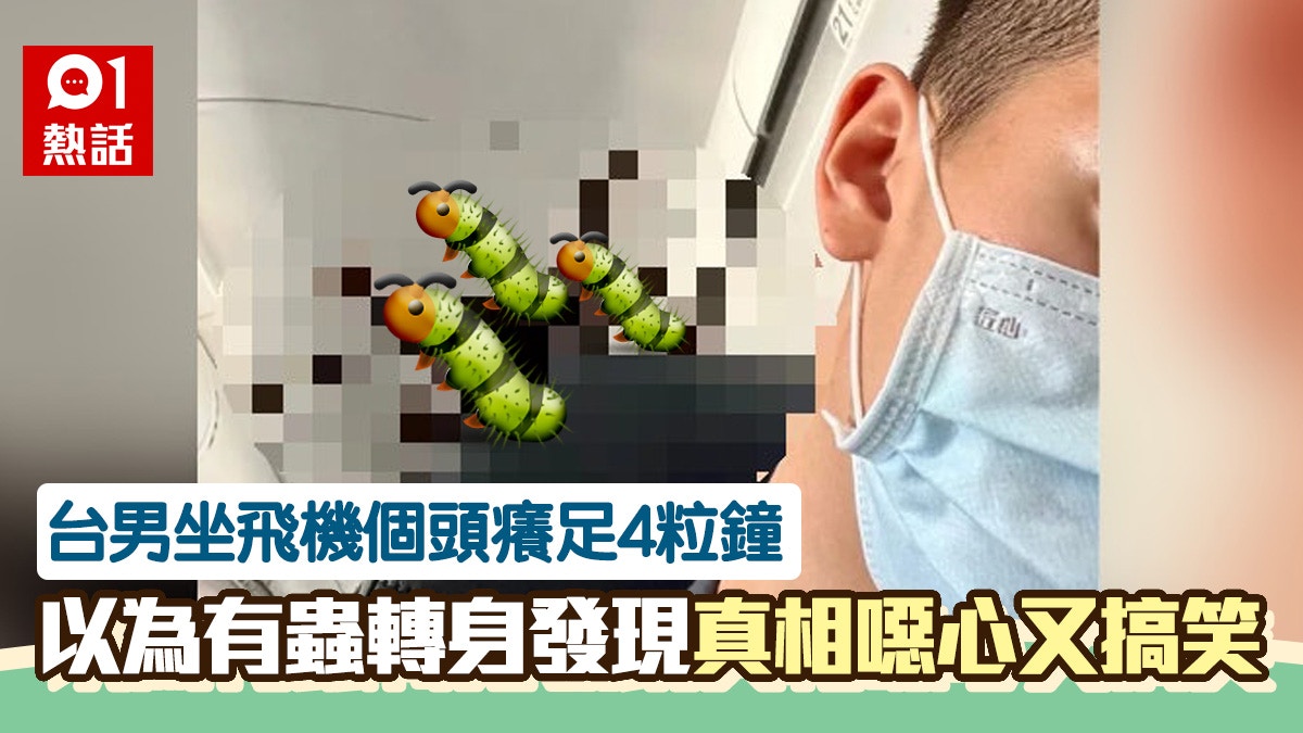 超噁心！台男搭飛機頭部被騷癢4小時「轉頭驚見巨蟲」真相超搞笑