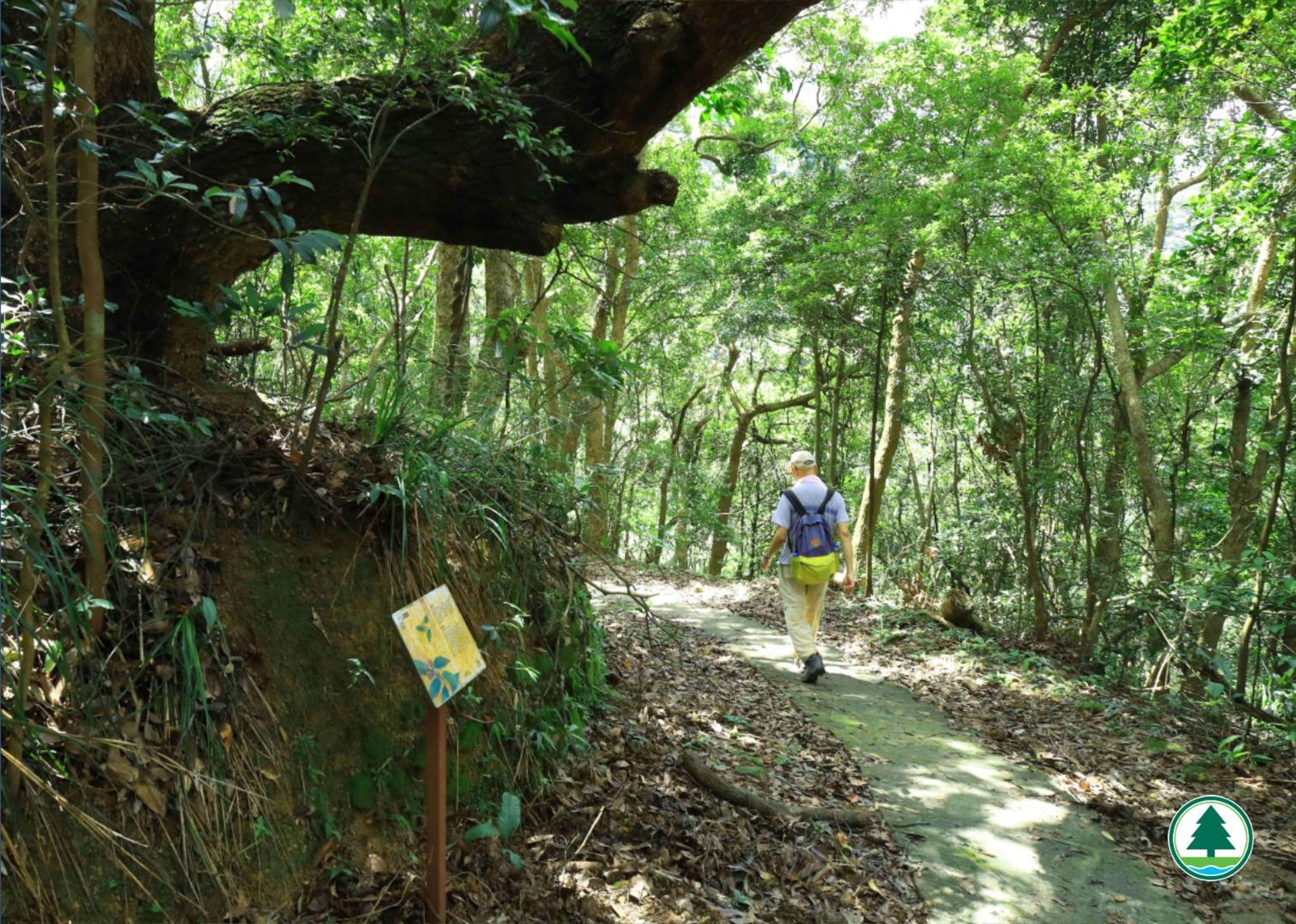 香港仔樹木研習徑(漁護署「郊野樂行」網站圖片) 香港仔樹木研習徑(漁護署「郊野樂行」網站圖片)