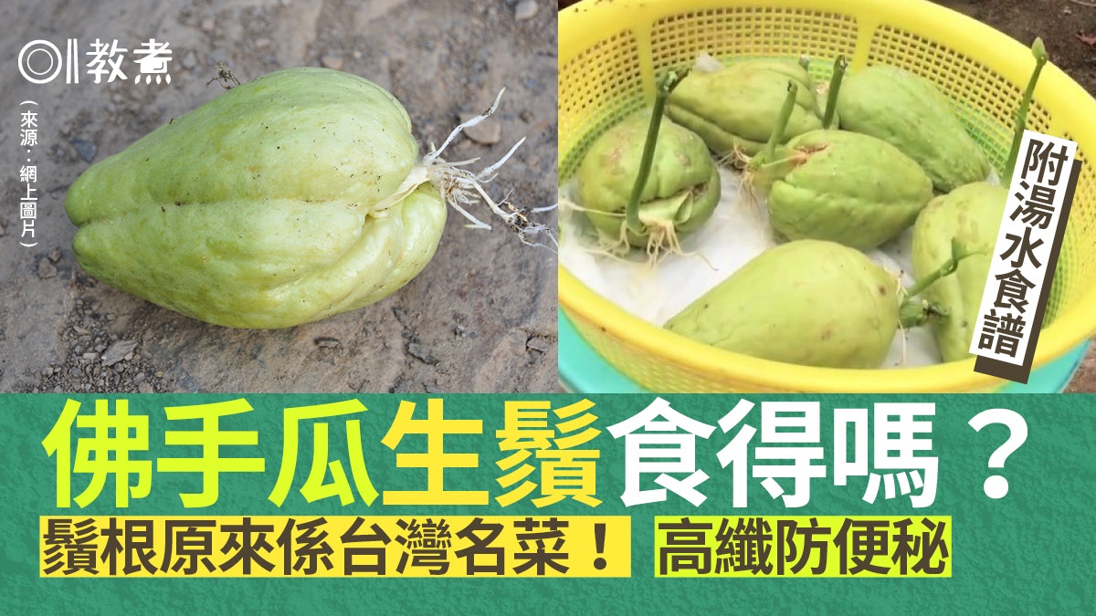 佛手瓜|出芽生鬚根只宜煲湯?原來是1種菜真身!低卡高纖防便秘 佛手瓜|出芽生鬚根只宜煲湯?原來是1種菜真身!低卡高纖防便秘