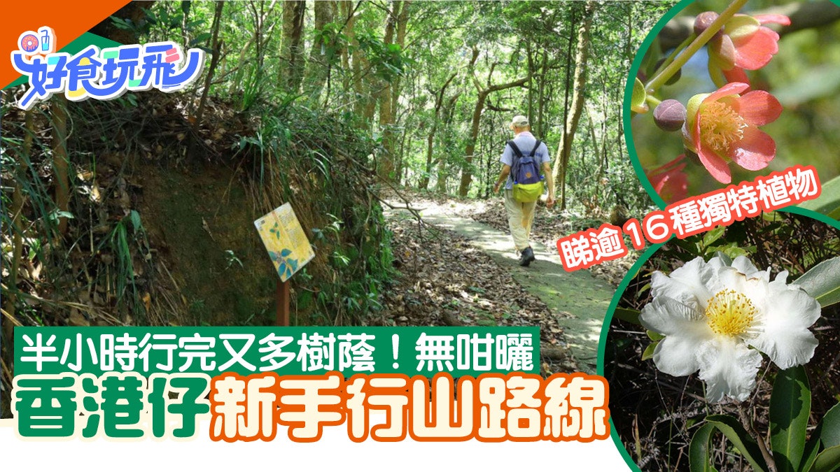 新手行山|短線漫步香港仔樹木研習徑 遊港島後花園認識多種樹木 新手行山|短線漫步香港仔樹木研習徑 遊港島後花園認識多種樹木