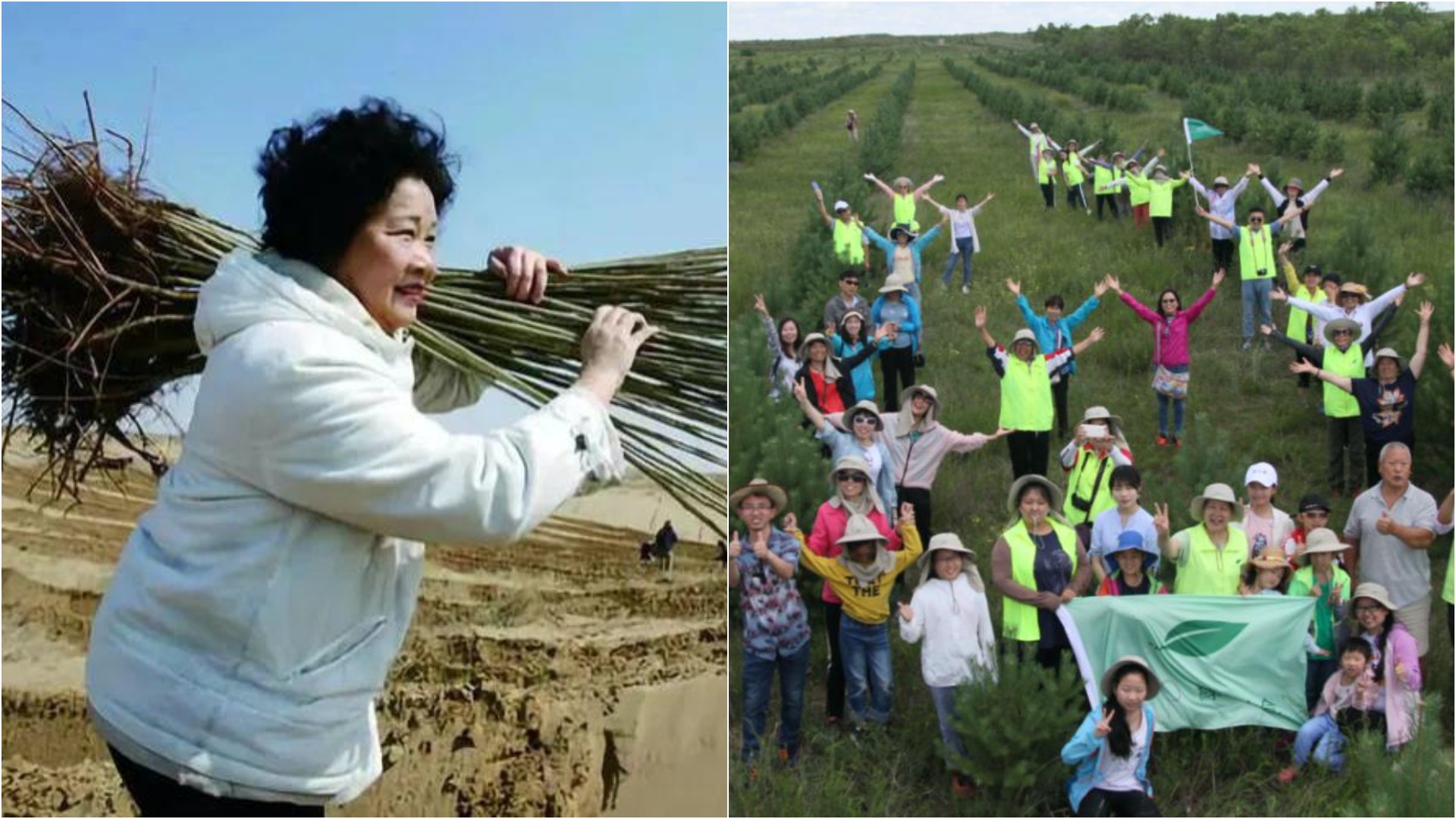 植樹節｜痛失獨子將思念化成樹上海母親20年在沙漠種樹一萬棵