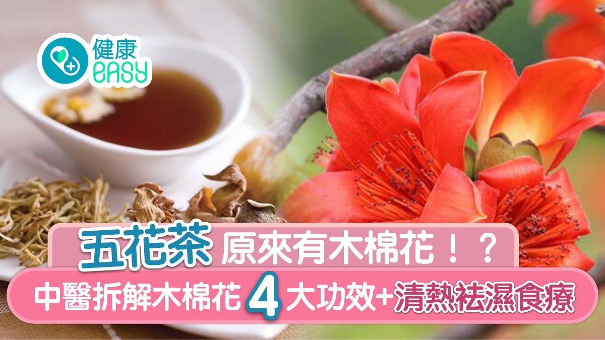 木棉花 袪濕解毒好幫手 中醫師教分辨靚花配菊花飲茶最好 木棉花 袪濕解毒好幫手 中醫師教分辨靚花配菊花飲茶最好