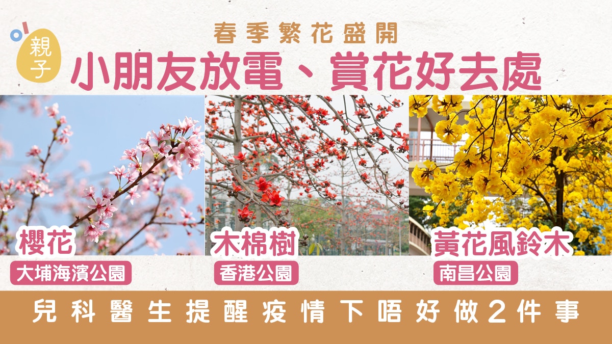 親子好去處 小朋友放電 賞花公園推介兒科醫生提醒勿做2件事