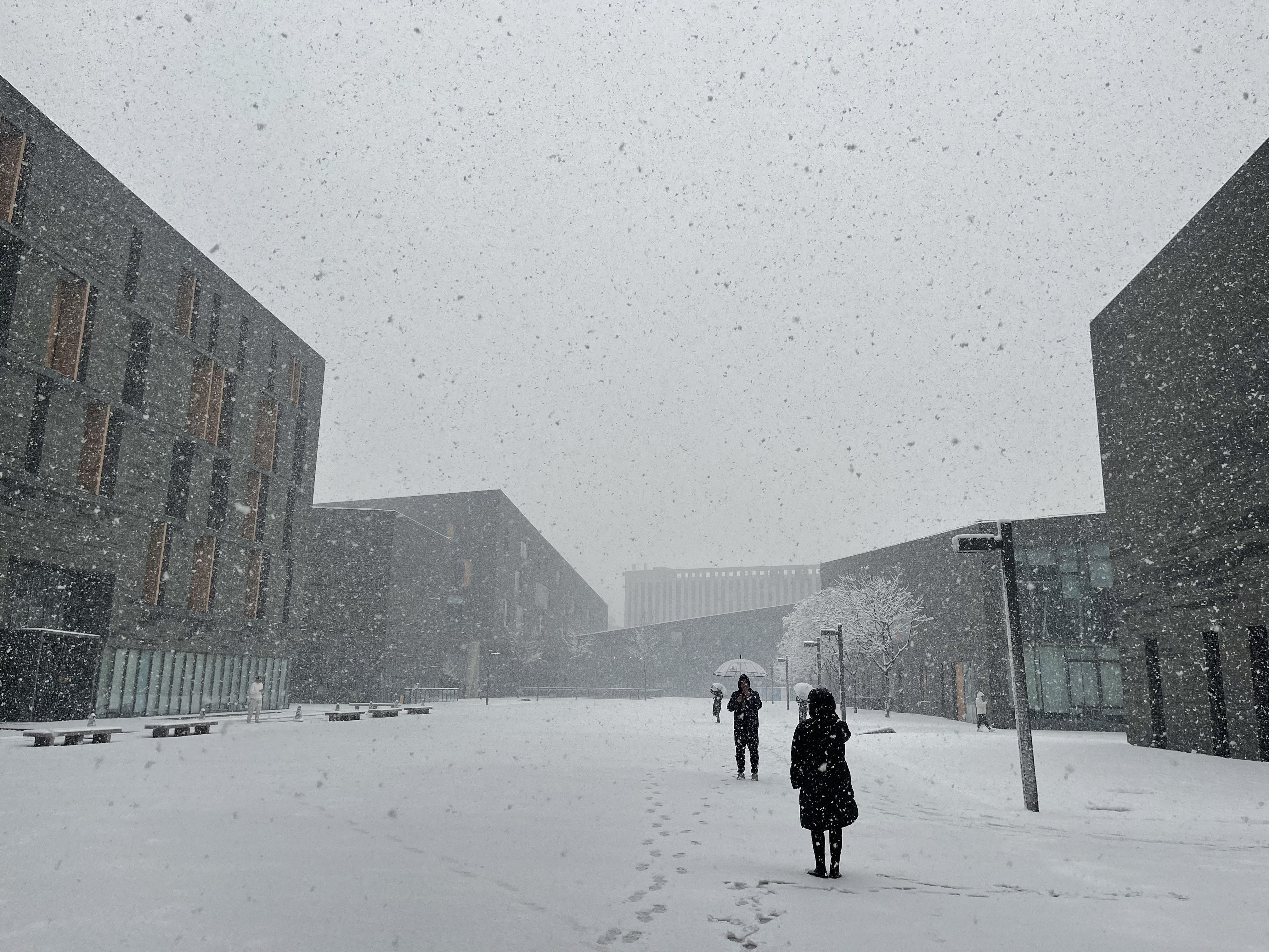 北京下雪 一夜返冬 氣溫驟降局部暴雪機場取消1336架次航班