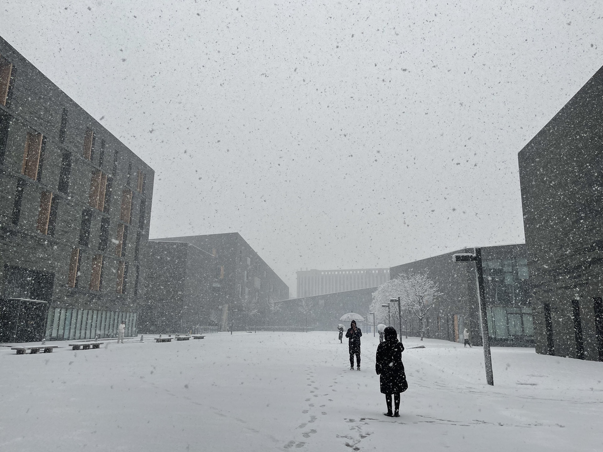 北京下雪 一夜返冬 氣溫驟降局部暴雪機場取消1336架次航班 北京下雪 一夜返冬 氣溫驟降局部暴雪機場取消1336架次航班