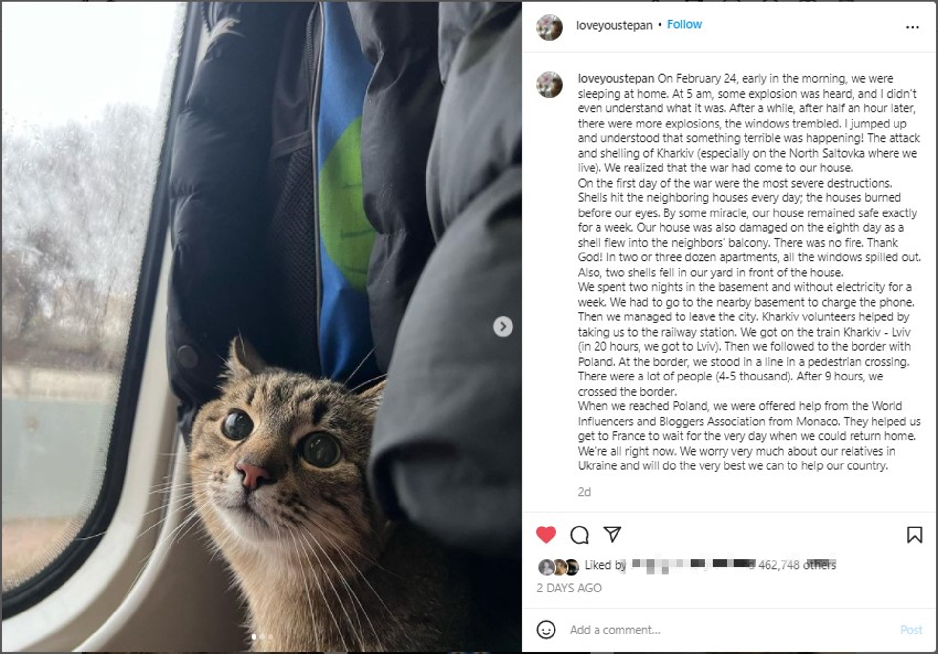 烏克蘭最出名 網紅貓 Stepan與飼主逃難安全抵達法國 烏克蘭最出名 網紅貓 Stepan與飼主逃難安全抵達法國