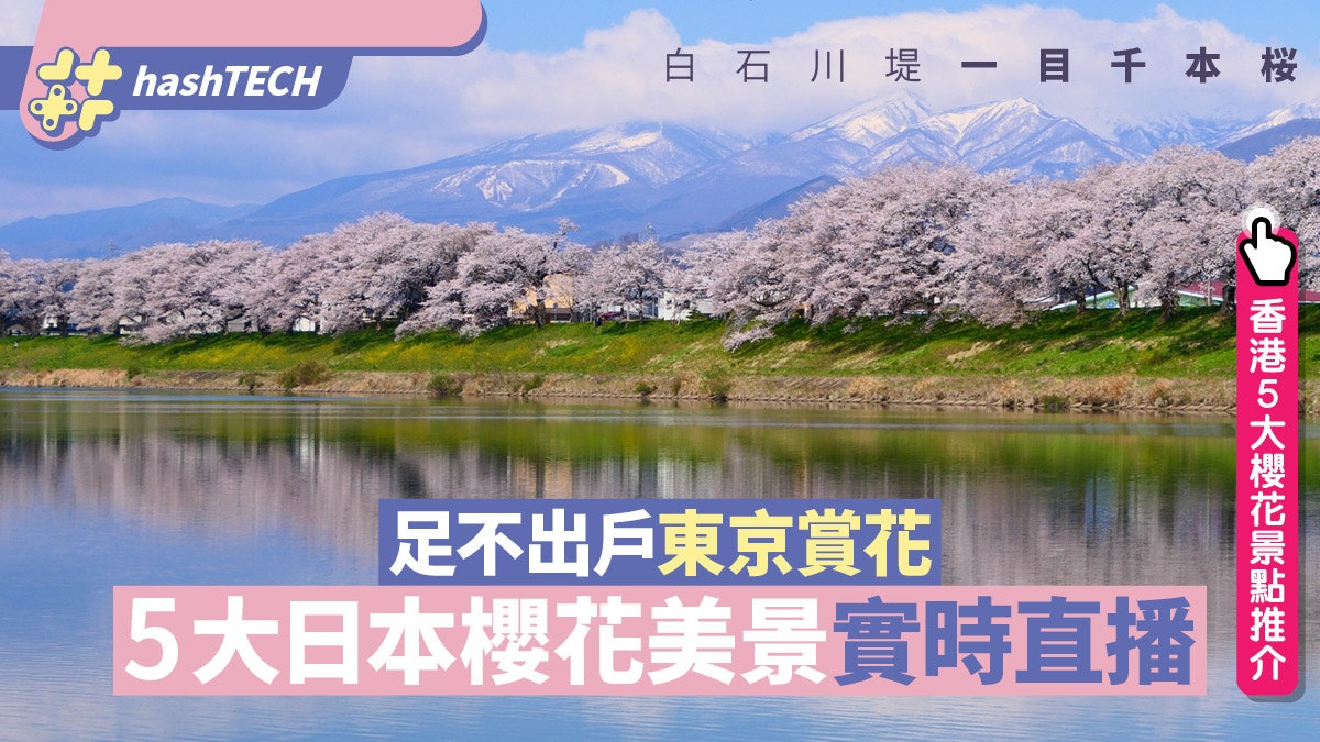 櫻花2022|東京3.20開花.教你WFH在家欣賞日本5大櫻花靚景直播 櫻花2022|東京3.20開花.教你WFH在家欣賞日本5大櫻花靚景直播