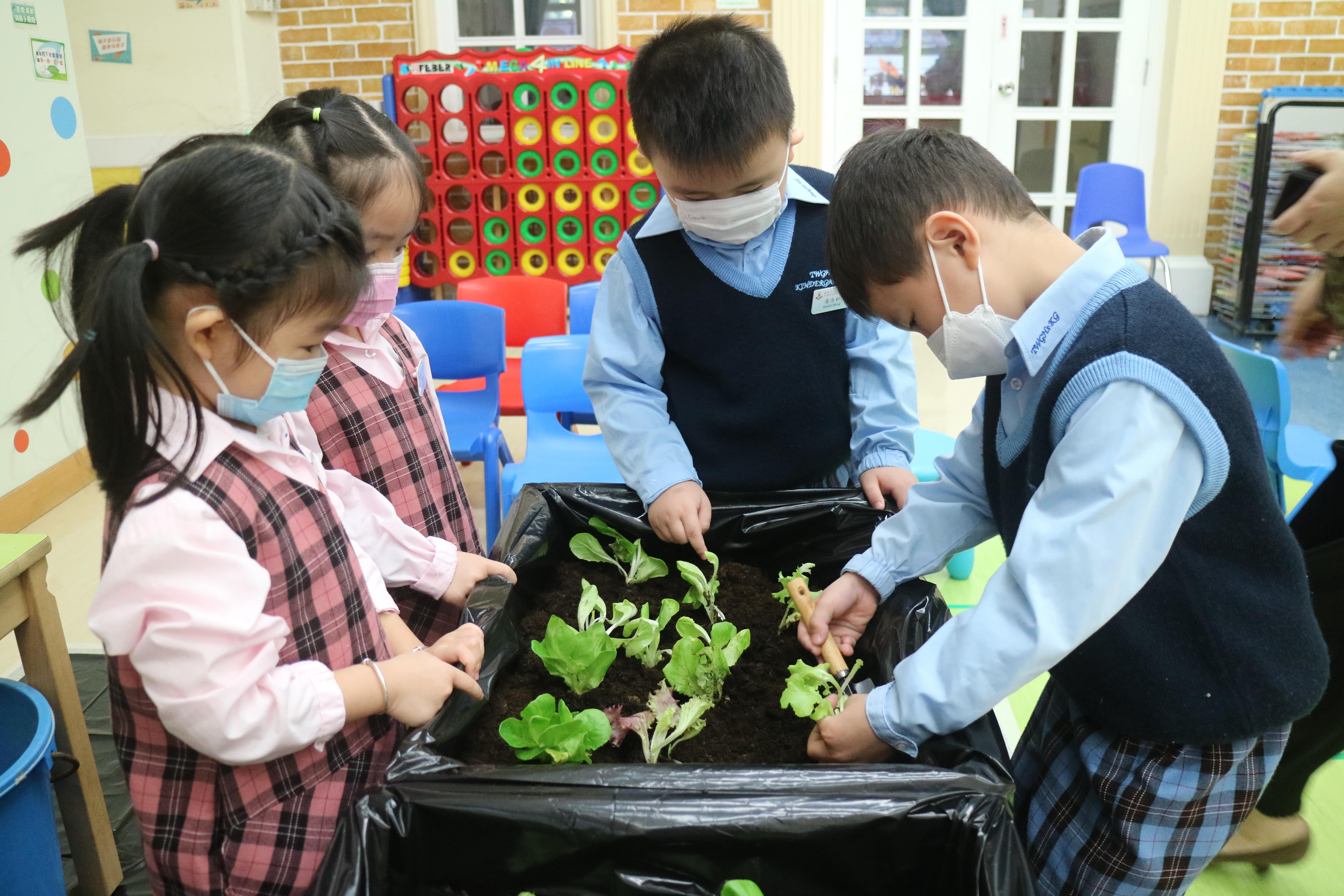 特色課堂推動自由遊戲力勤幼稚園助幼兒享受學習發揮創意