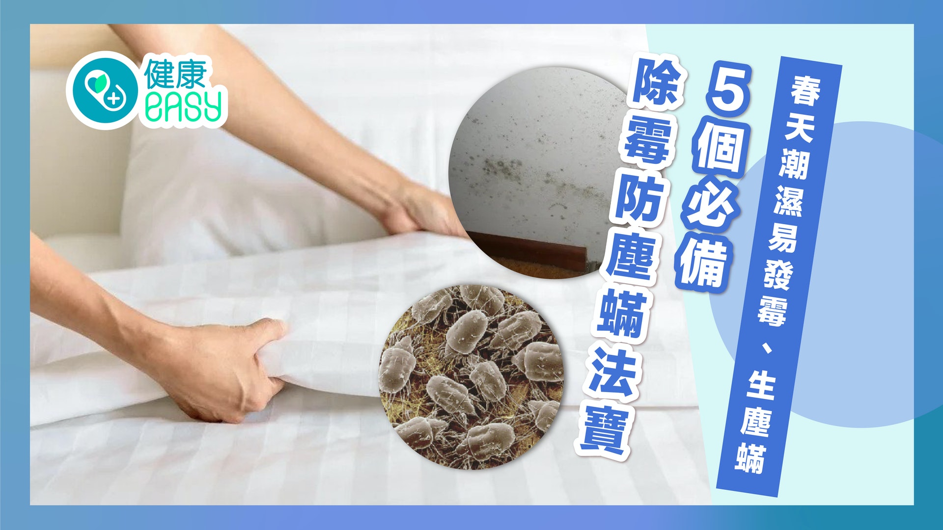 回南天|春季潮濕易發霉生塵蟎 5個除霉、防塵蟎法寶免過敏! 回南天|春季潮濕易發霉生塵蟎 5個除霉、防塵蟎法寶免過敏!