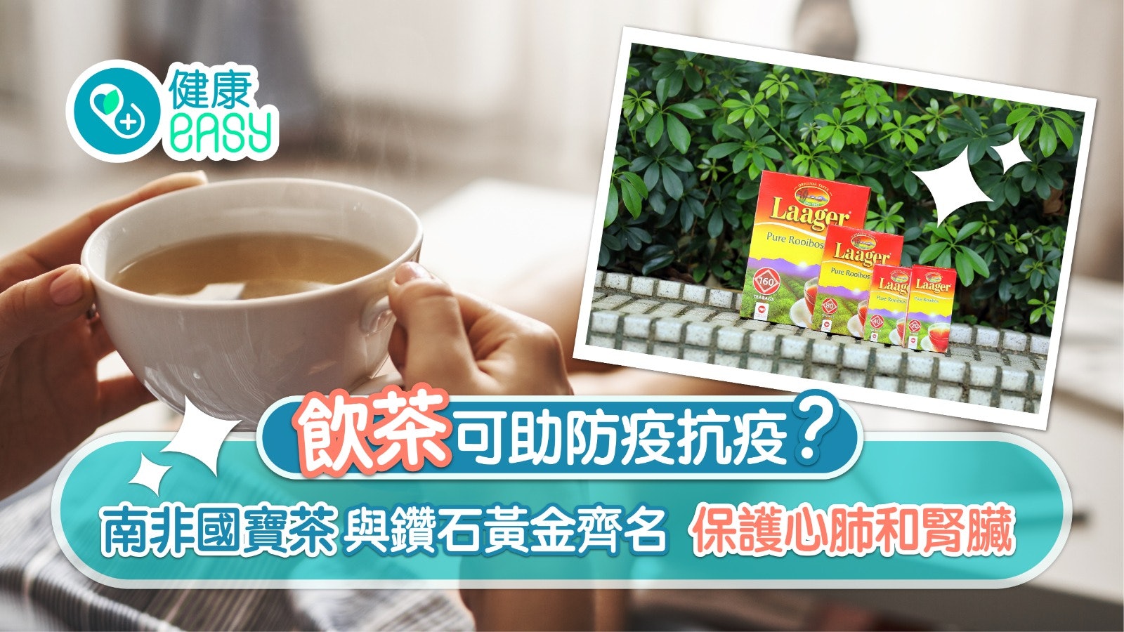 茶療|飲茶可防疫抗疫?南非國寶茶與鑽石黃金齊名 高抗氧化及消炎 茶療|飲茶可防疫抗疫?南非國寶茶與鑽石黃金齊名 高抗氧化及消炎