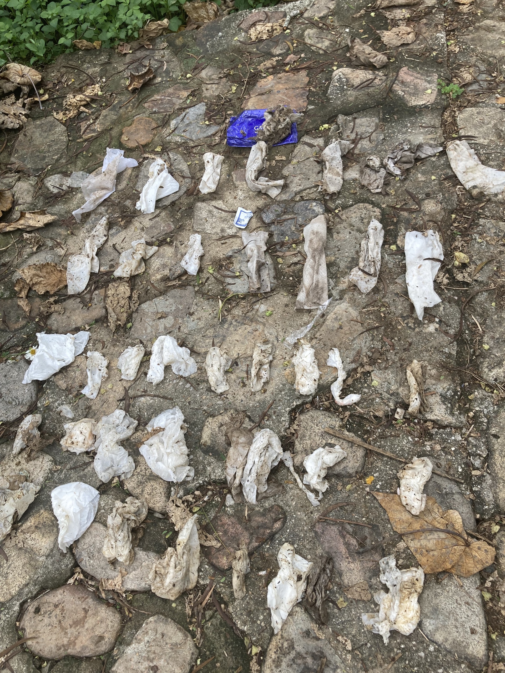 調查發現,排名山徑垃圾「榜首」是紙巾,連同濕紙巾及其包裝袋,佔整體垃圾32%。(綠惜地球提供) 調查發現,排名山徑垃圾「榜首」是紙巾,連同濕紙巾及其包裝袋,佔整體垃圾32%。(綠惜地球提供)