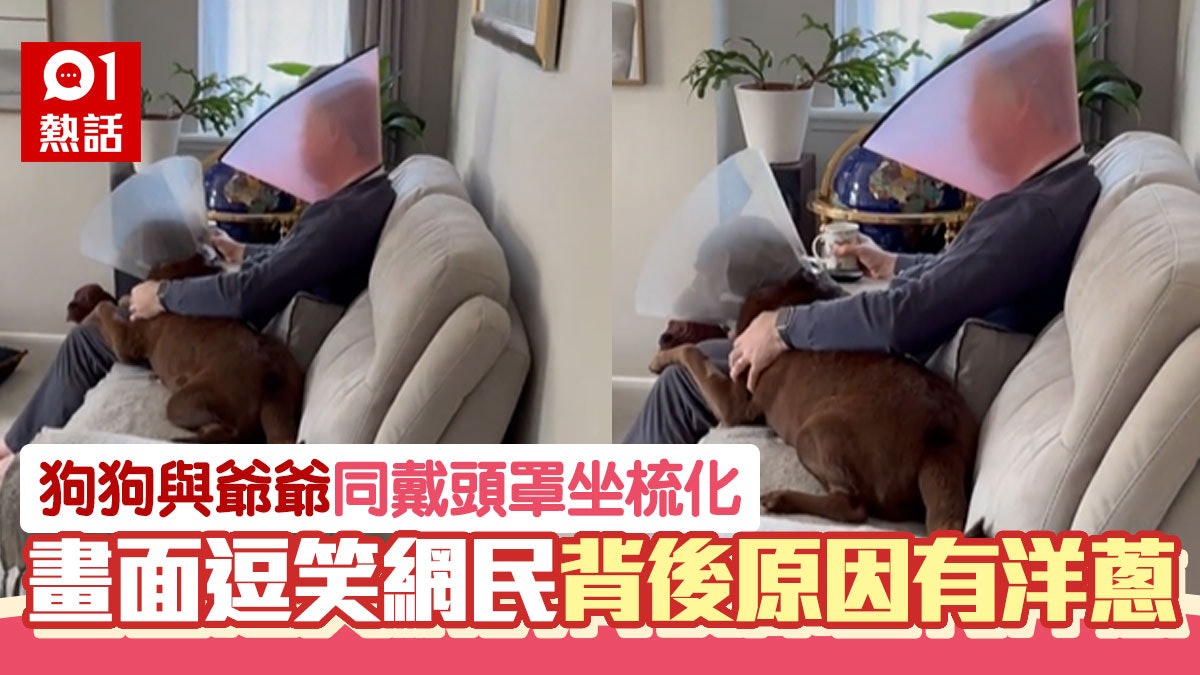 狗狗戴保護頸圈防咬傷 爺爺戴粉紅色款同坐 原因感動200萬網民 狗狗戴保護頸圈防咬傷 爺爺戴粉紅色款同坐 原因感動200萬網民