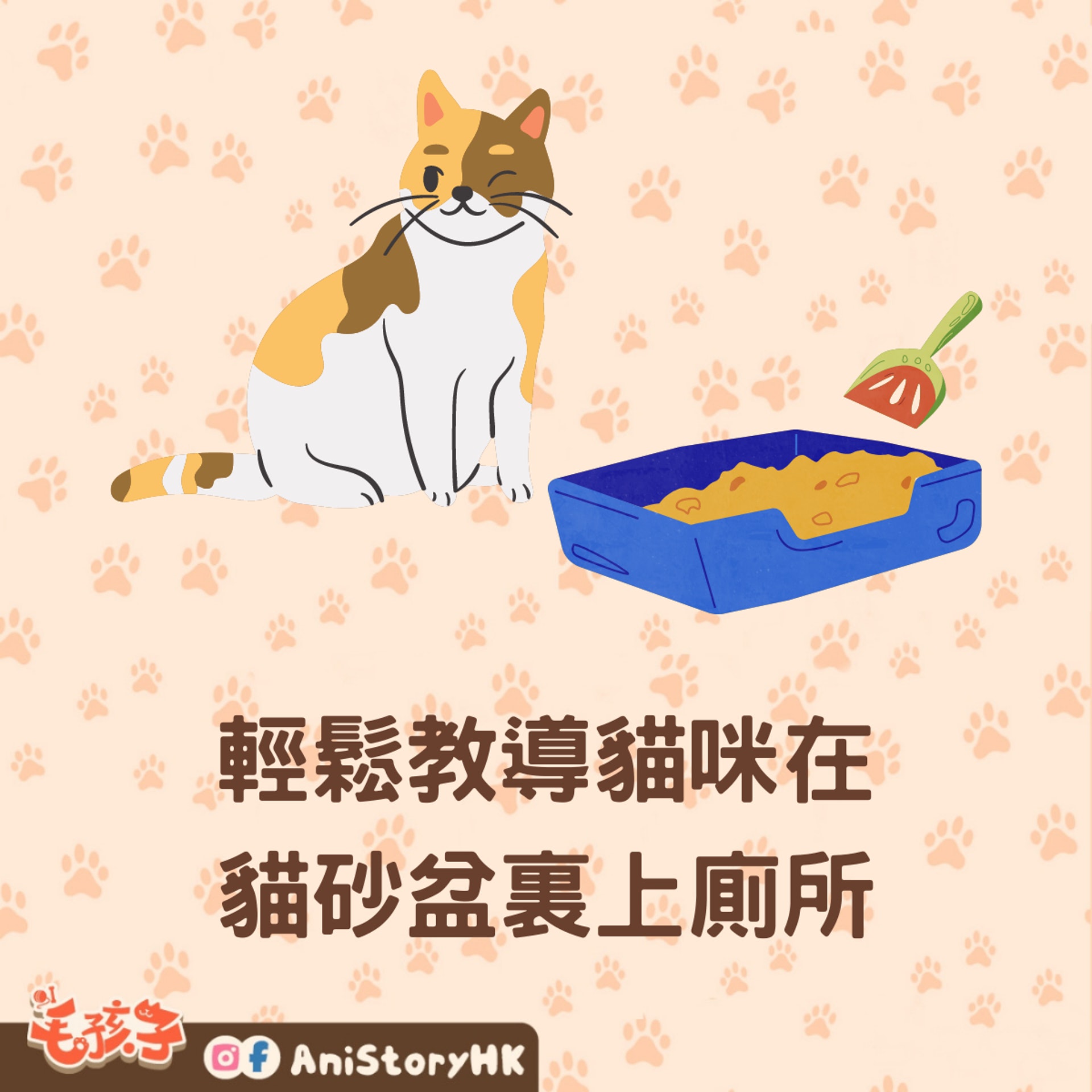 輕鬆導教貓咪使用貓砂盆上廁所。(香港01製圖) 輕鬆導教貓咪使用貓砂盆上廁所。(香港01製圖)
