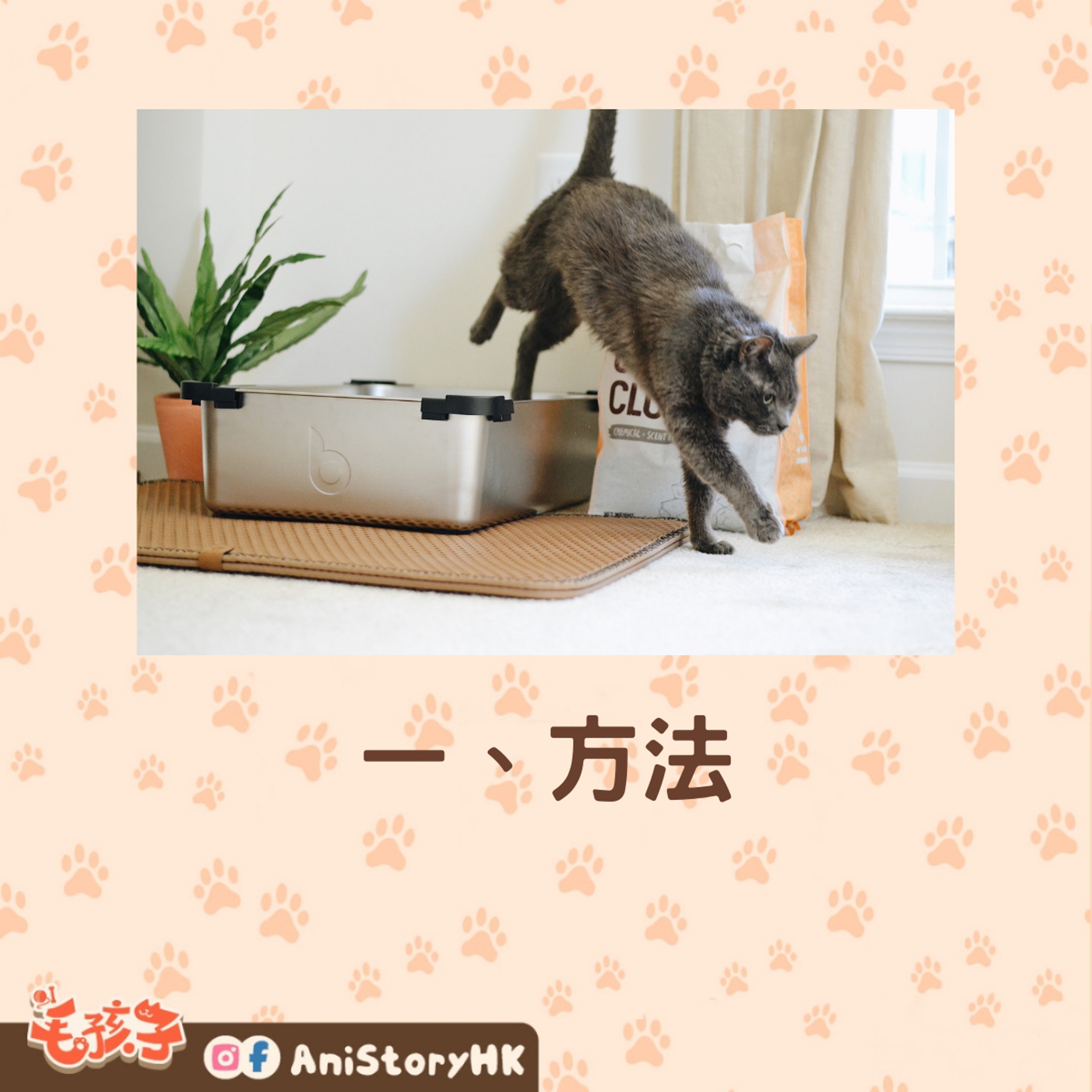 輕鬆導教貓咪使用貓砂盆上廁所。(香港01製圖) 輕鬆導教貓咪使用貓砂盆上廁所。(香港01製圖)