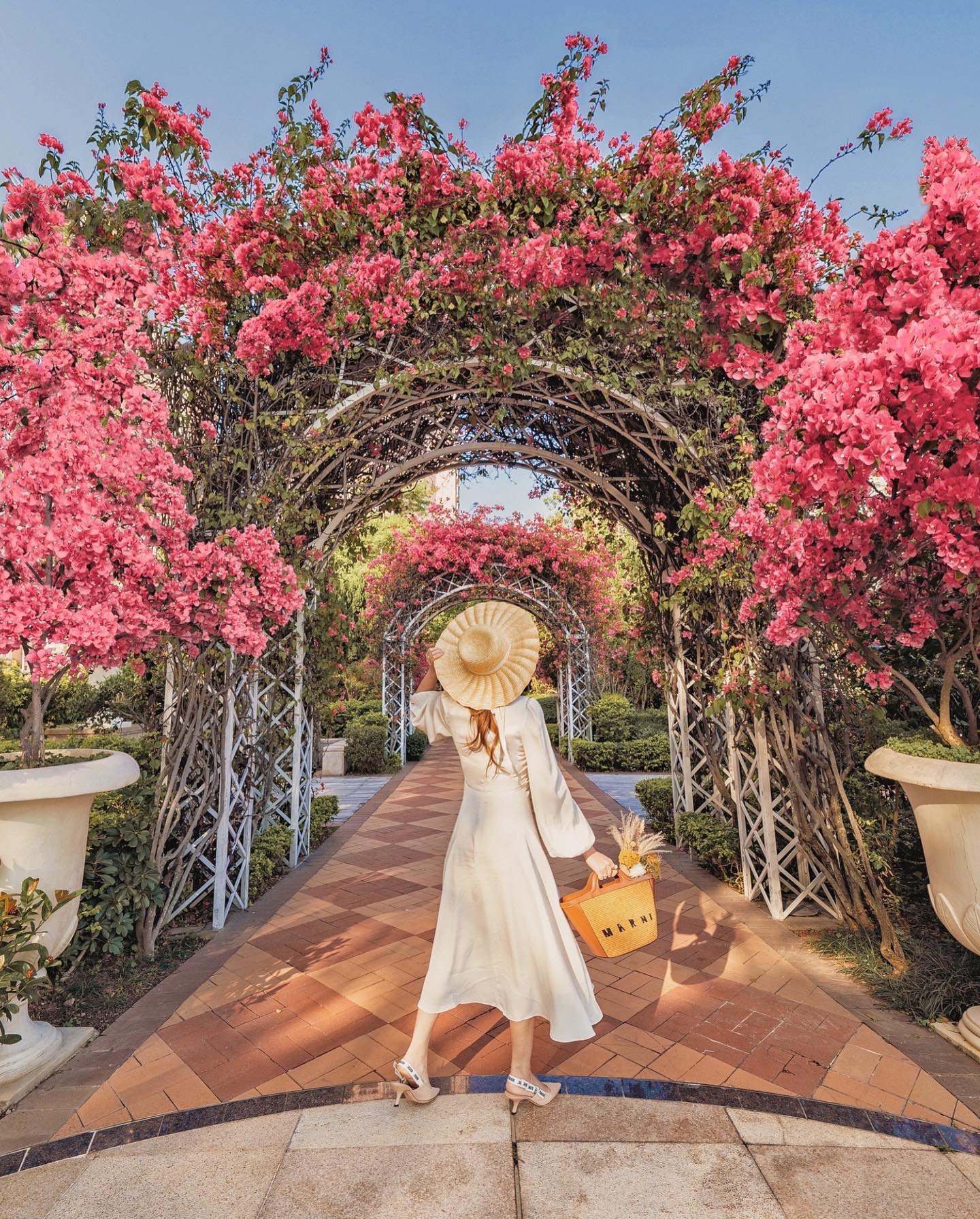 花隧道 屯門簕杜鵑隧道粉紅花海瀑布純白拱門走廊 歐式庭園