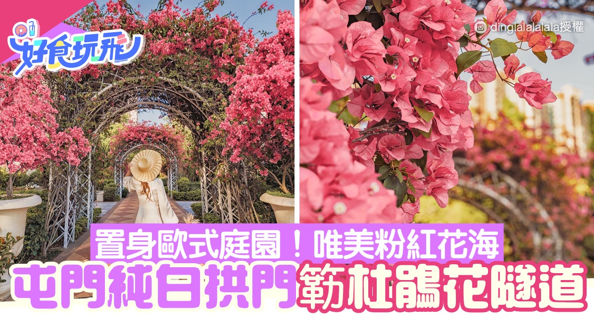 花隧道 屯門簕杜鵑隧道粉紅花海瀑布純白拱門走廊 歐式庭園