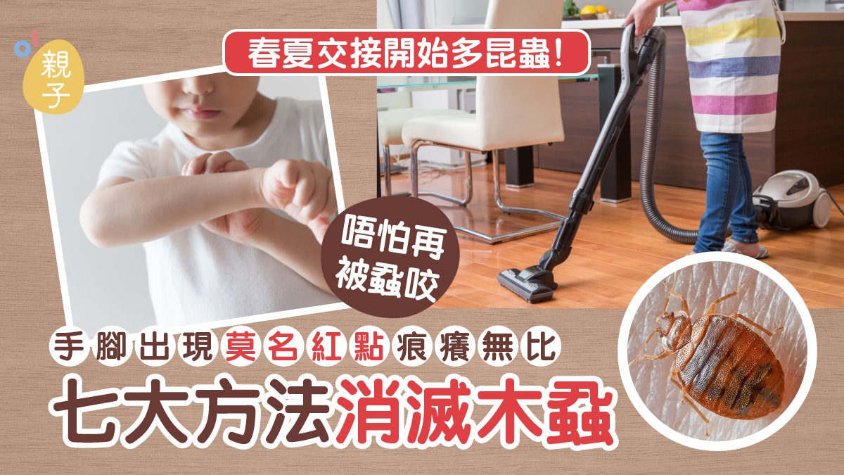 木蝨|皮膚痕癢紅腫可能係被蝨咬 七大方法有效消滅家居木蝨 木蝨|皮膚痕癢紅腫可能係被蝨咬 七大方法有效消滅家居木蝨