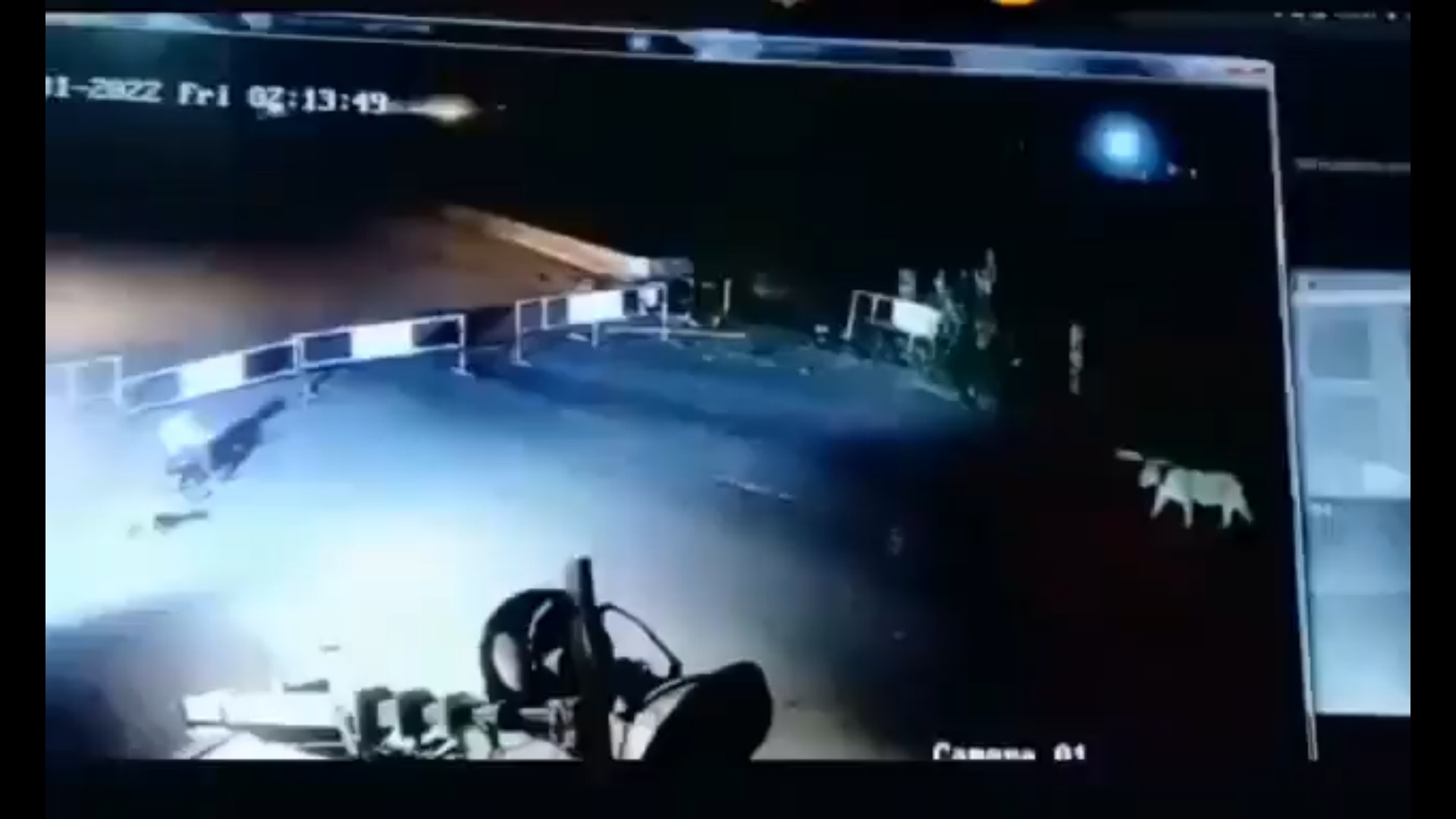 印度古吉拉特邦一名保安夜間值班時,突然有6頭獅子出現在公司附近,正在尋找獵物,嚇得他立即離開座位逃跑,後來把自己鎖在小屋中才躲過一劫,驚險畫面在網路上瘋傳。(Twitter@SatyatTiwari) 印度古吉拉特邦一名保安夜間值班時,突然有6頭獅子出現在公司附近,正在尋找獵物,嚇得他立即離開座位逃跑,後來把自己鎖在小屋中才躲過一劫,驚險畫面在網路上瘋傳。(Twitter@SatyatTiwari)