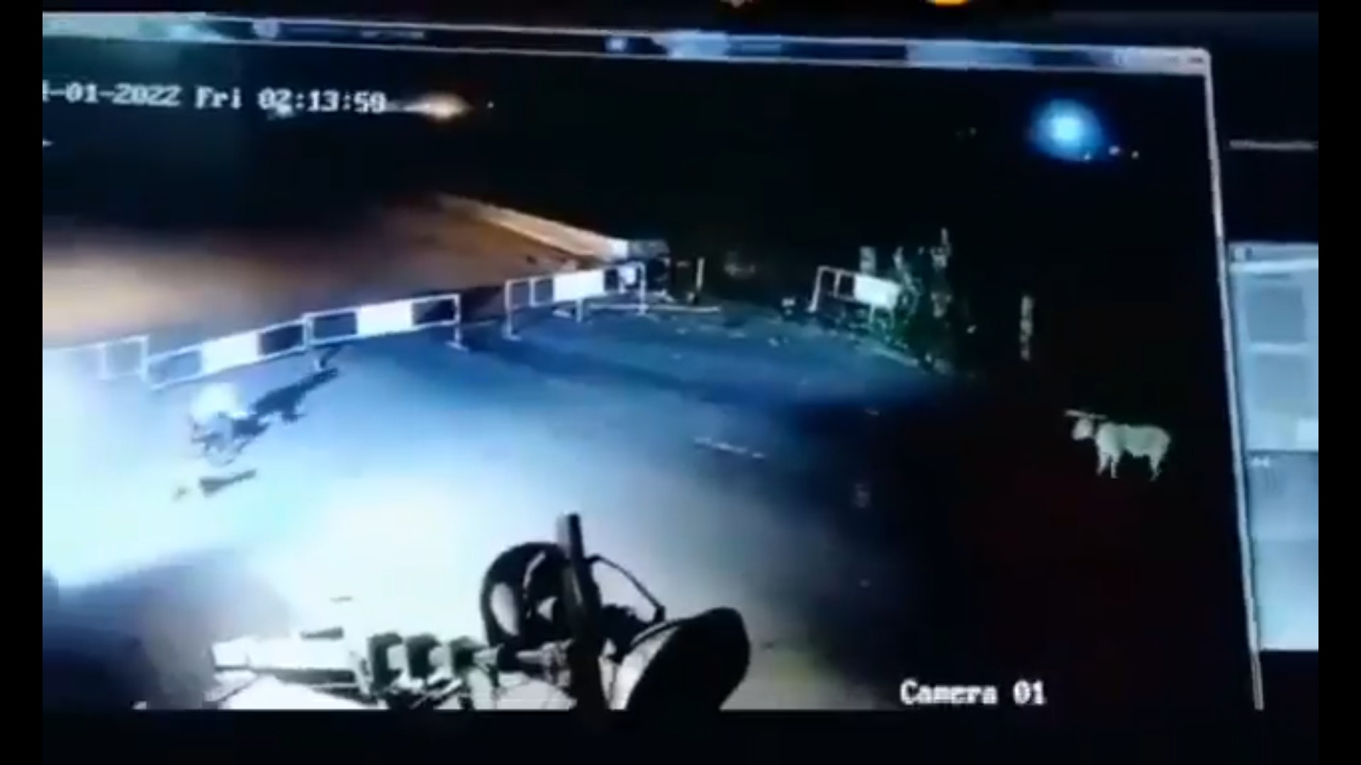 印度古吉拉特邦一名保安夜間值班時,突然有6頭獅子出現在公司附近,正在尋找獵物,嚇得他立即離開座位逃跑,後來把自己鎖在小屋中才躲過一劫,驚險畫面在網路上瘋傳。(Twitter@SatyatTiwari) 印度古吉拉特邦一名保安夜間值班時,突然有6頭獅子出現在公司附近,正在尋找獵物,嚇得他立即離開座位逃跑,後來把自己鎖在小屋中才躲過一劫,驚險畫面在網路上瘋傳。(Twitter@SatyatTiwari)