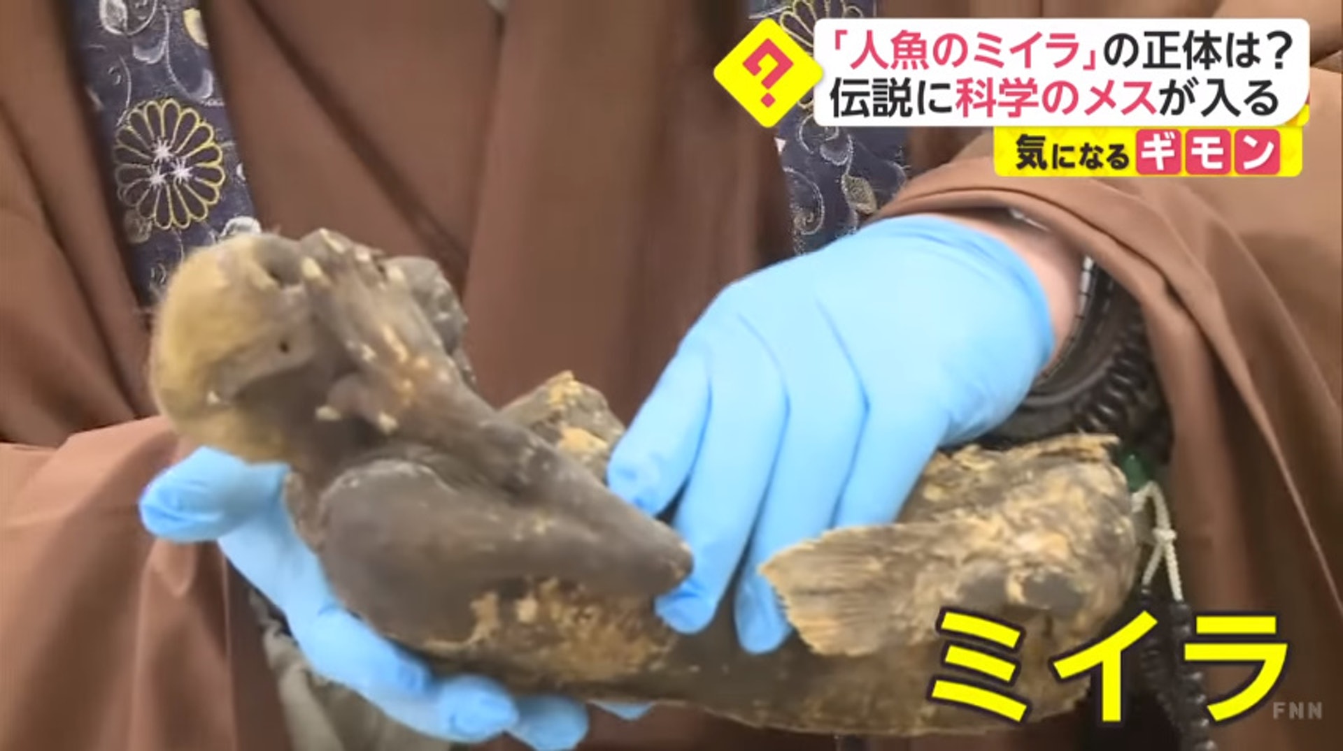 人魚傳説是真的 300歲 半人半魚木乃伊 驚現人體相似組織 人魚傳説是真的 300歲 半人半魚木乃伊 驚現人體相似組織