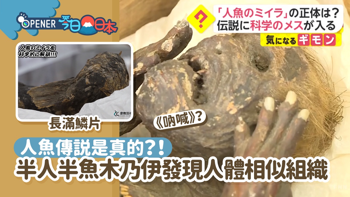 人魚傳説是真的 300歲 半人半魚木乃伊 驚現人體相似組織