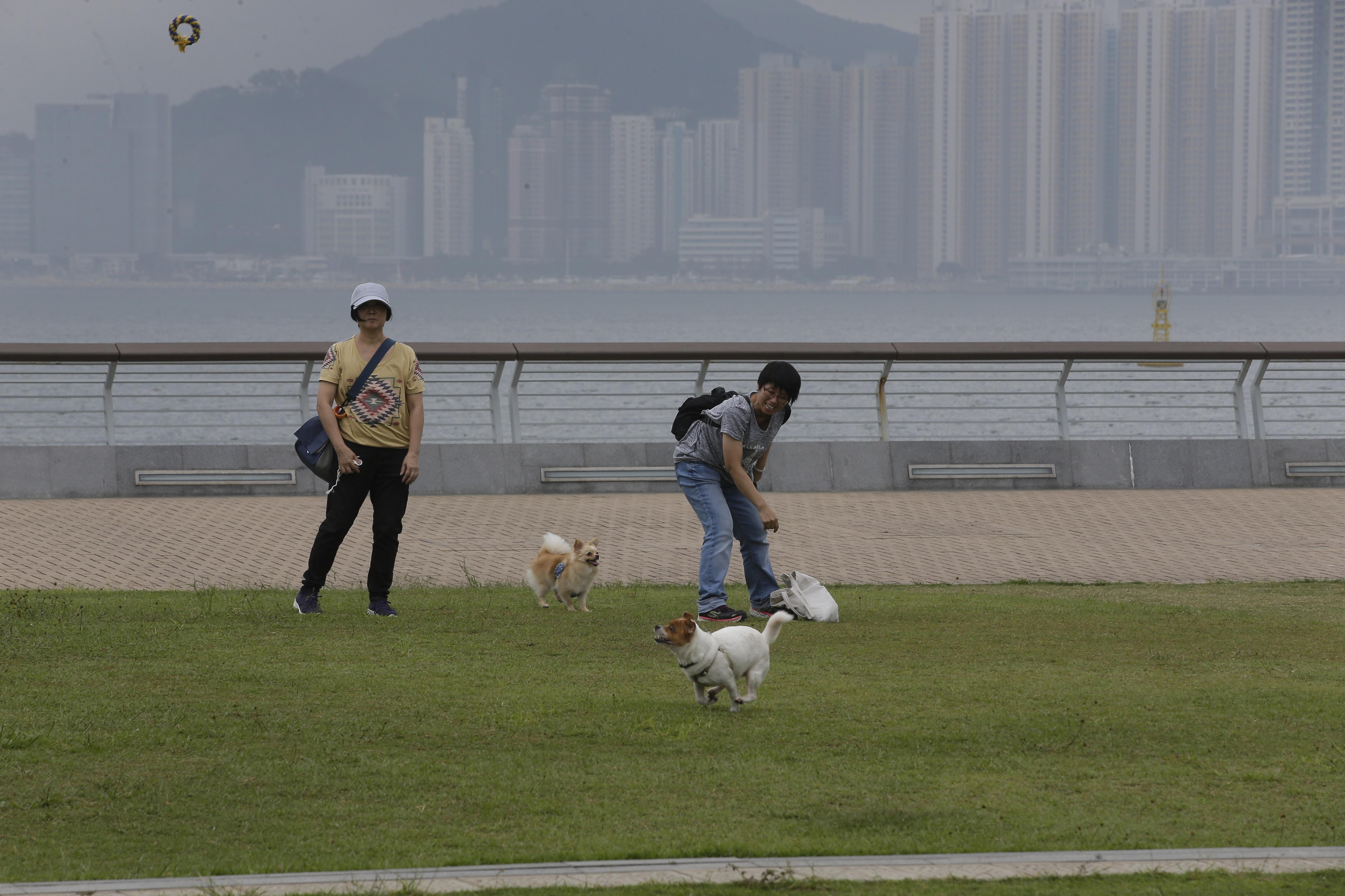 啟德跑道公園佔地8.54公頃，擁有東九龍最大型的草坪地，又可飽覽海景，屬區內最佳野餐及放狗勝地。（資料圖片）