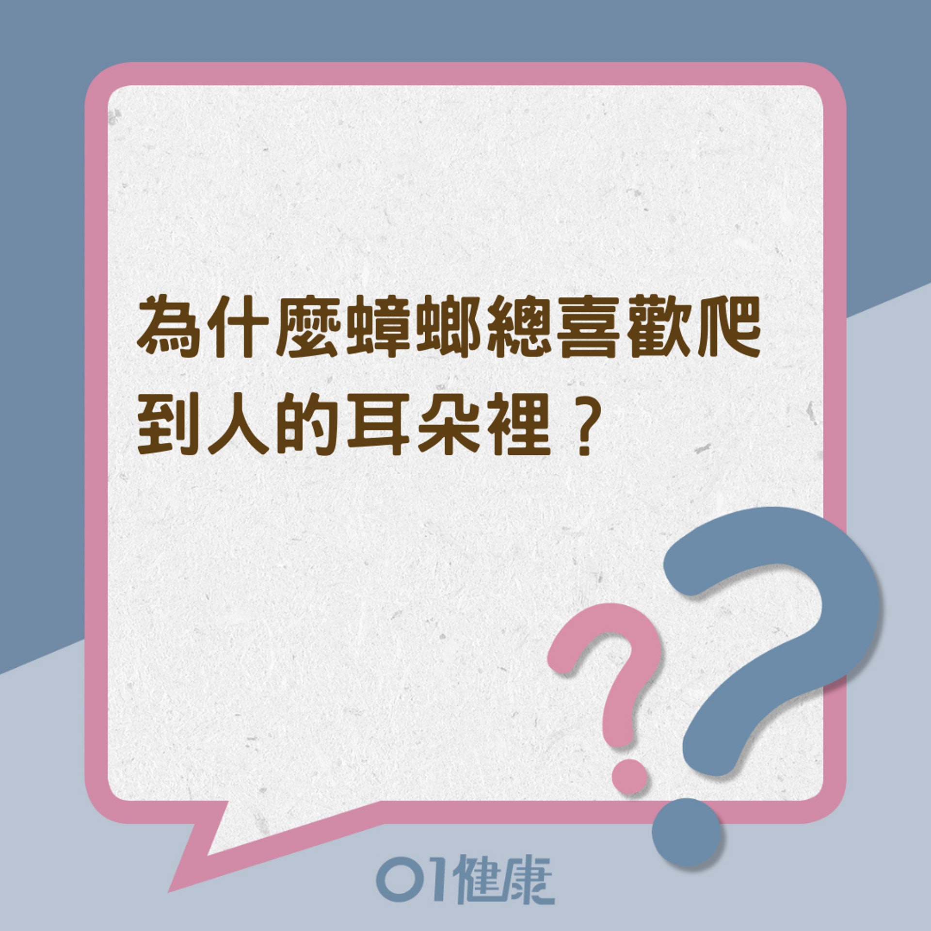 為什麼蟑螂總喜歡爬到人的耳朵裡?該如何處理?(01製圖) 為什麼蟑螂總喜歡爬到人的耳朵裡?該如何處理?(01製圖)