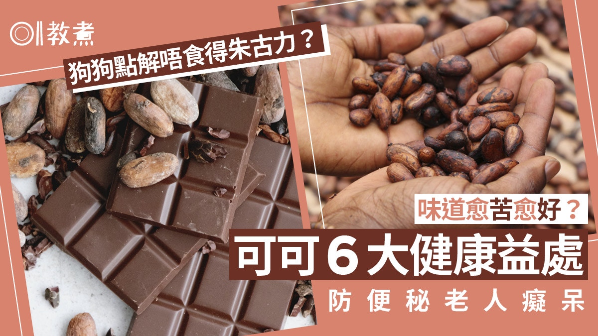 可可好處｜降血壓防失智6功效與朱古力點分？因1種物質狗狗不能吃