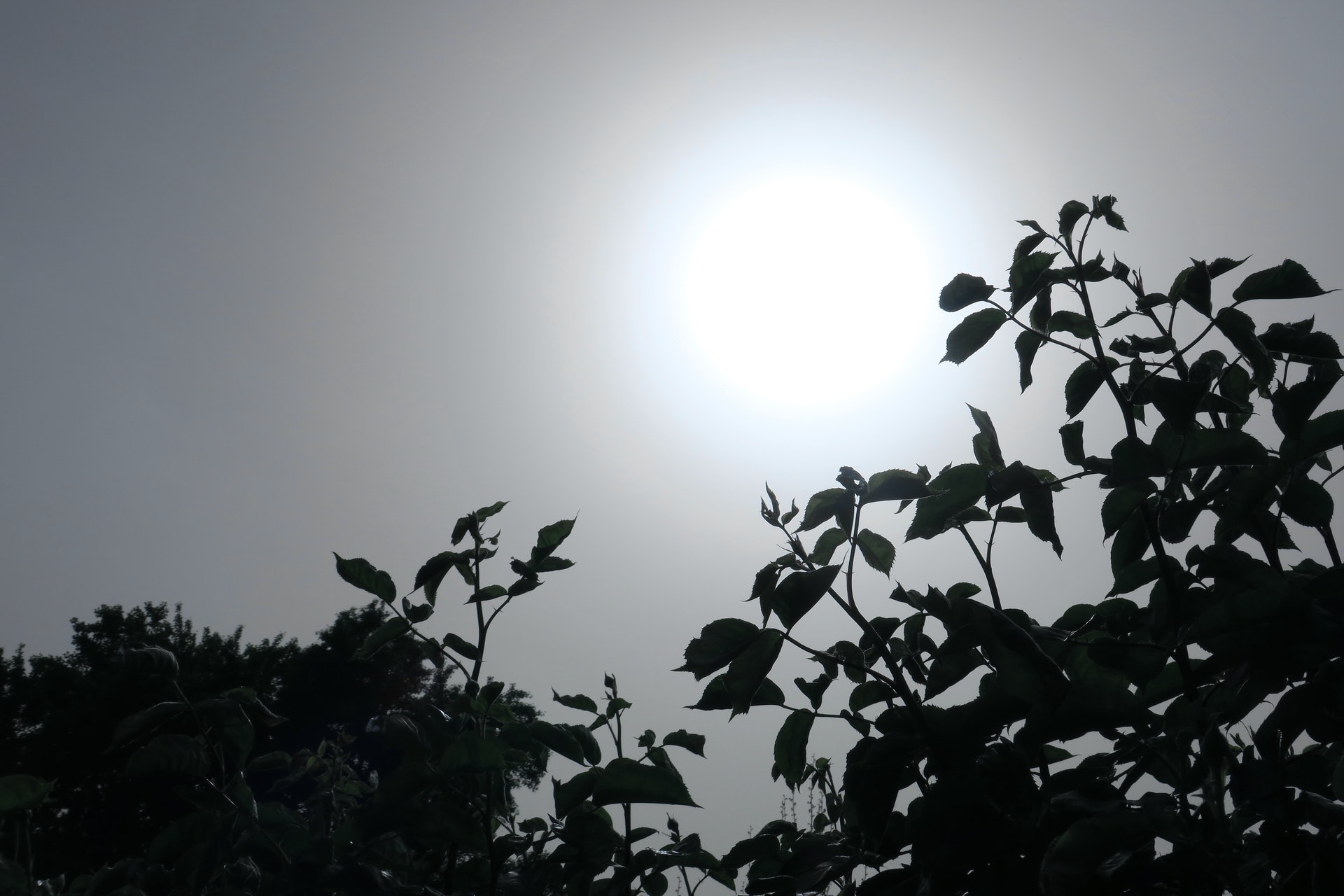 北京受沙塵天氣影響一度出現「藍太陽」。(視覺中國) 北京受沙塵天氣影響一度出現「藍太陽」。(視覺中國)