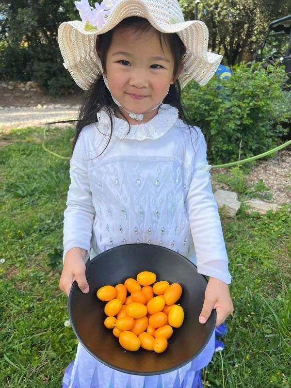 李美慧在曾文豪私人庄园收成柑橘拿来腌咸柑桔。（IG：@Vivi326）