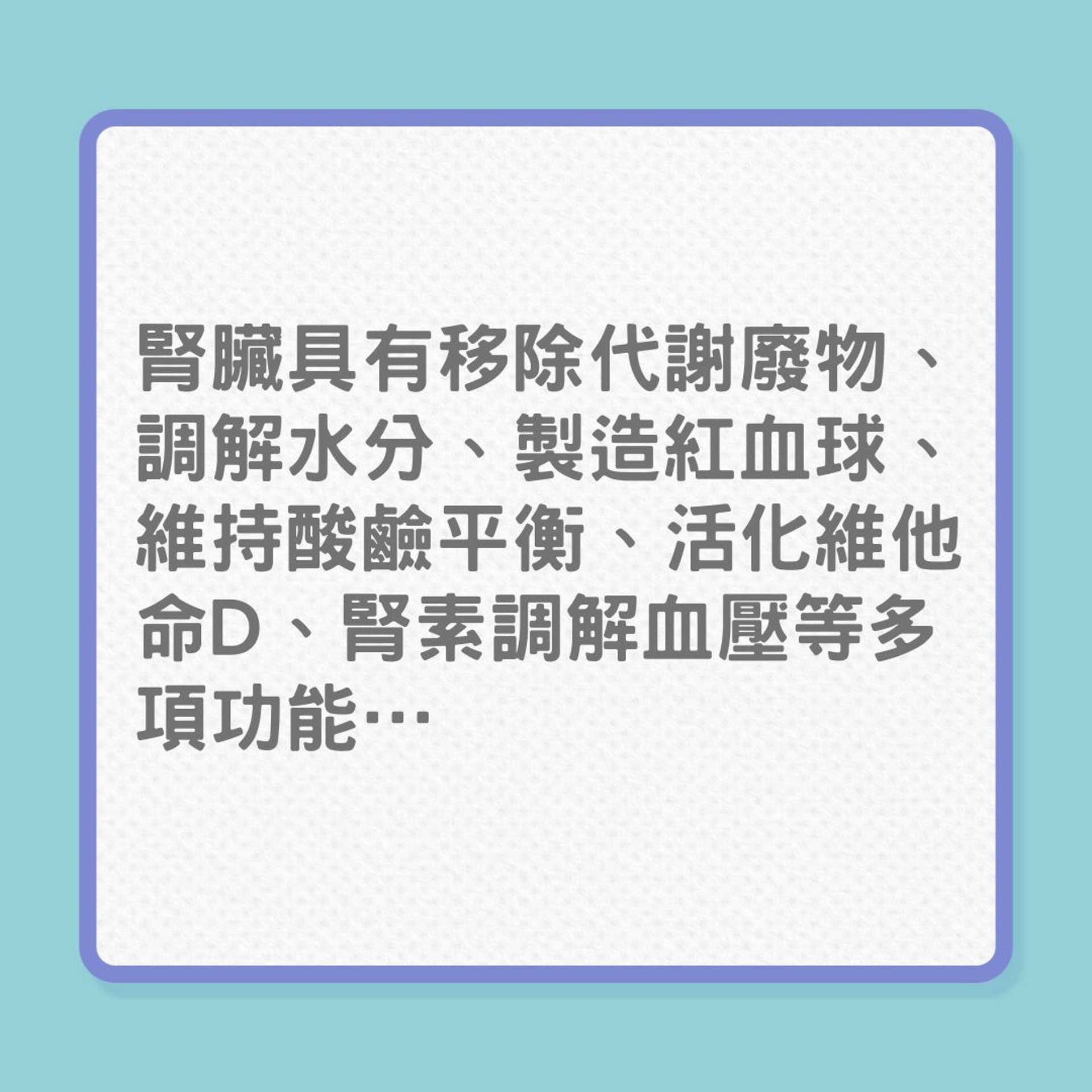 護腎|提防腎臟健康悄悄溜走!(01製圖) 護腎|提防腎臟健康悄悄溜走!(01製圖)