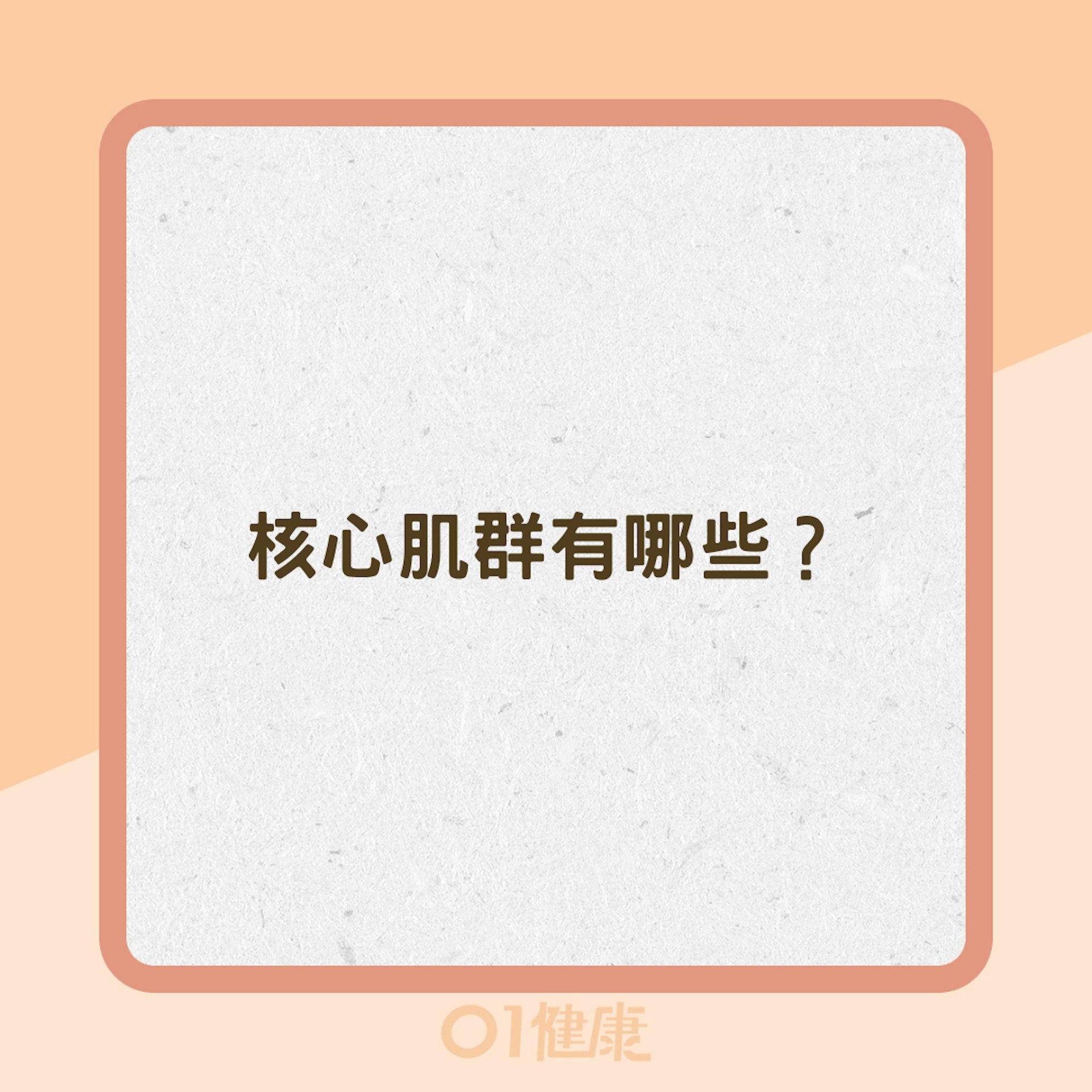 核心肌群有哪些?(01製圖) 核心肌群有哪些?(01製圖)
