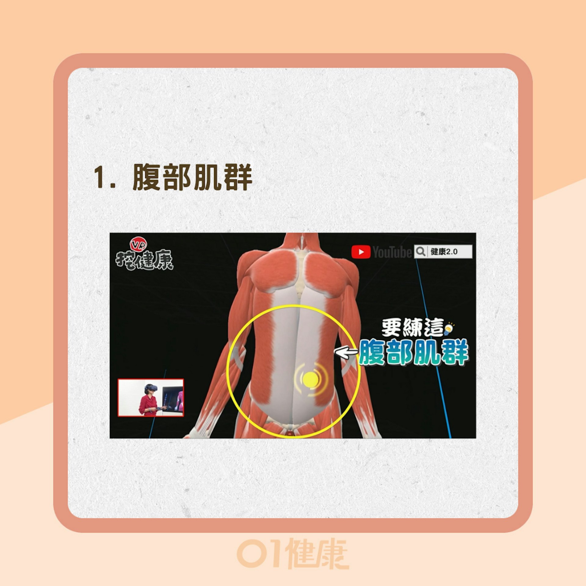 核心肌群有哪些?(YouTube@健康2.0影片截圖/01製圖) 核心肌群有哪些?(YouTube@健康2.0影片截圖/01製圖)