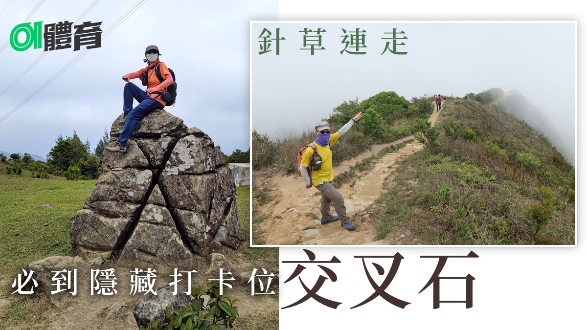 城門水塘行山路線 連走針山 草山搵奇趣石景往大埔碗窰落山 城門水塘行山路線 連走針山 草山搵奇趣石景往大埔碗窰落山
